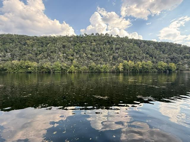 4104 Seldalia Trl, Austin, TX 78732