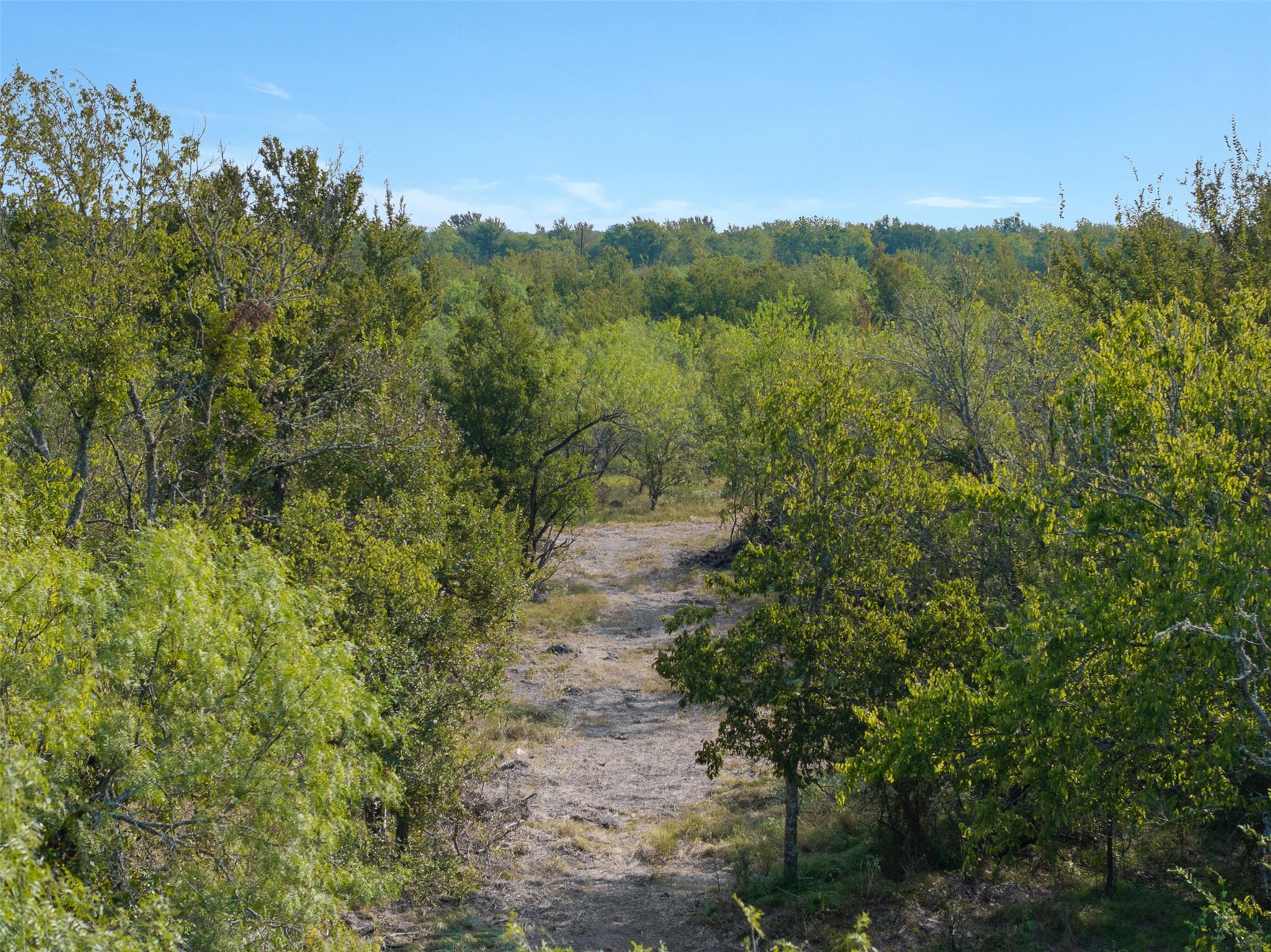 TBD FM Road 1644, Calvert, TX 77837