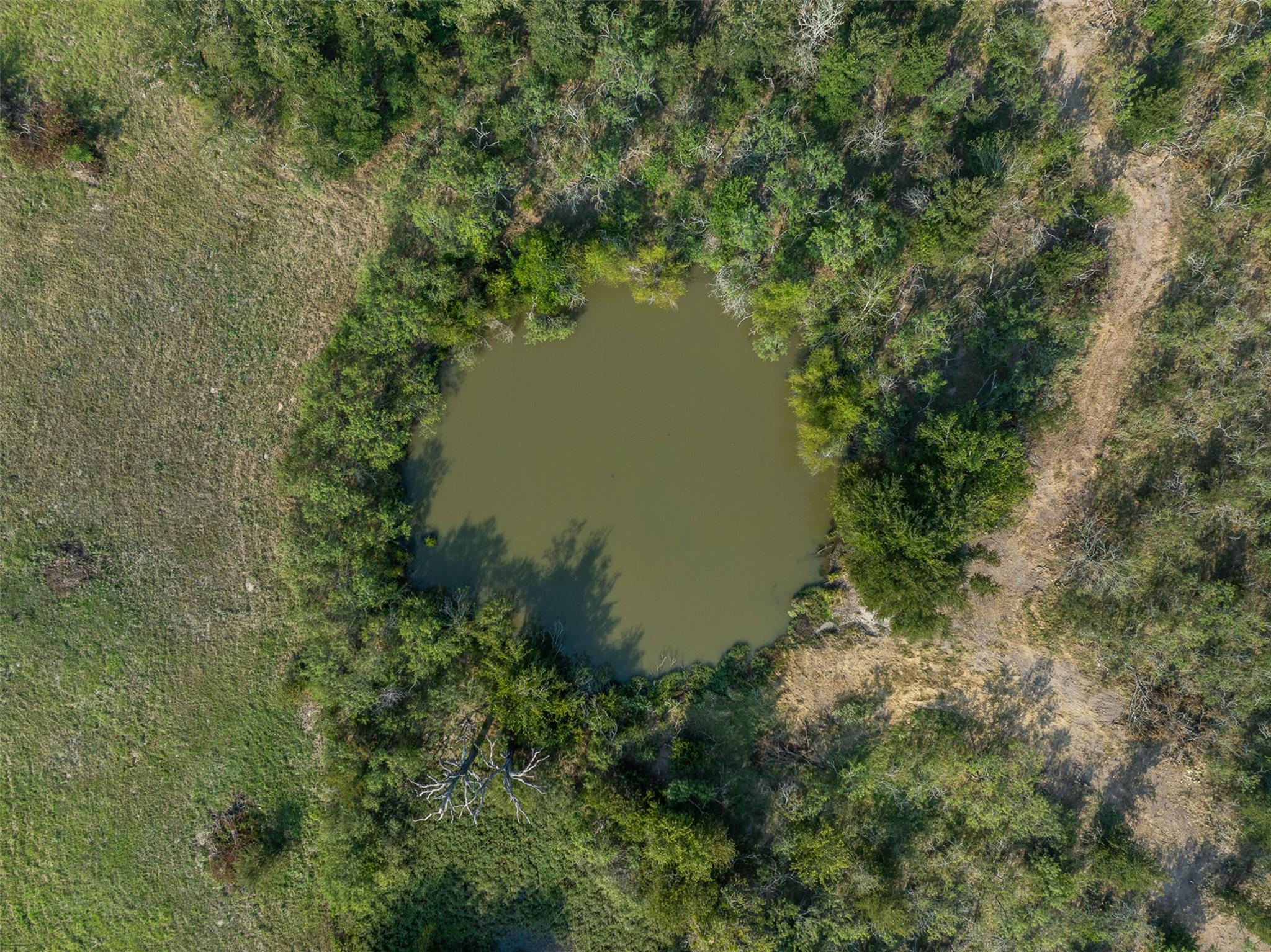 TBD FM Road 1644, Calvert, TX 77837