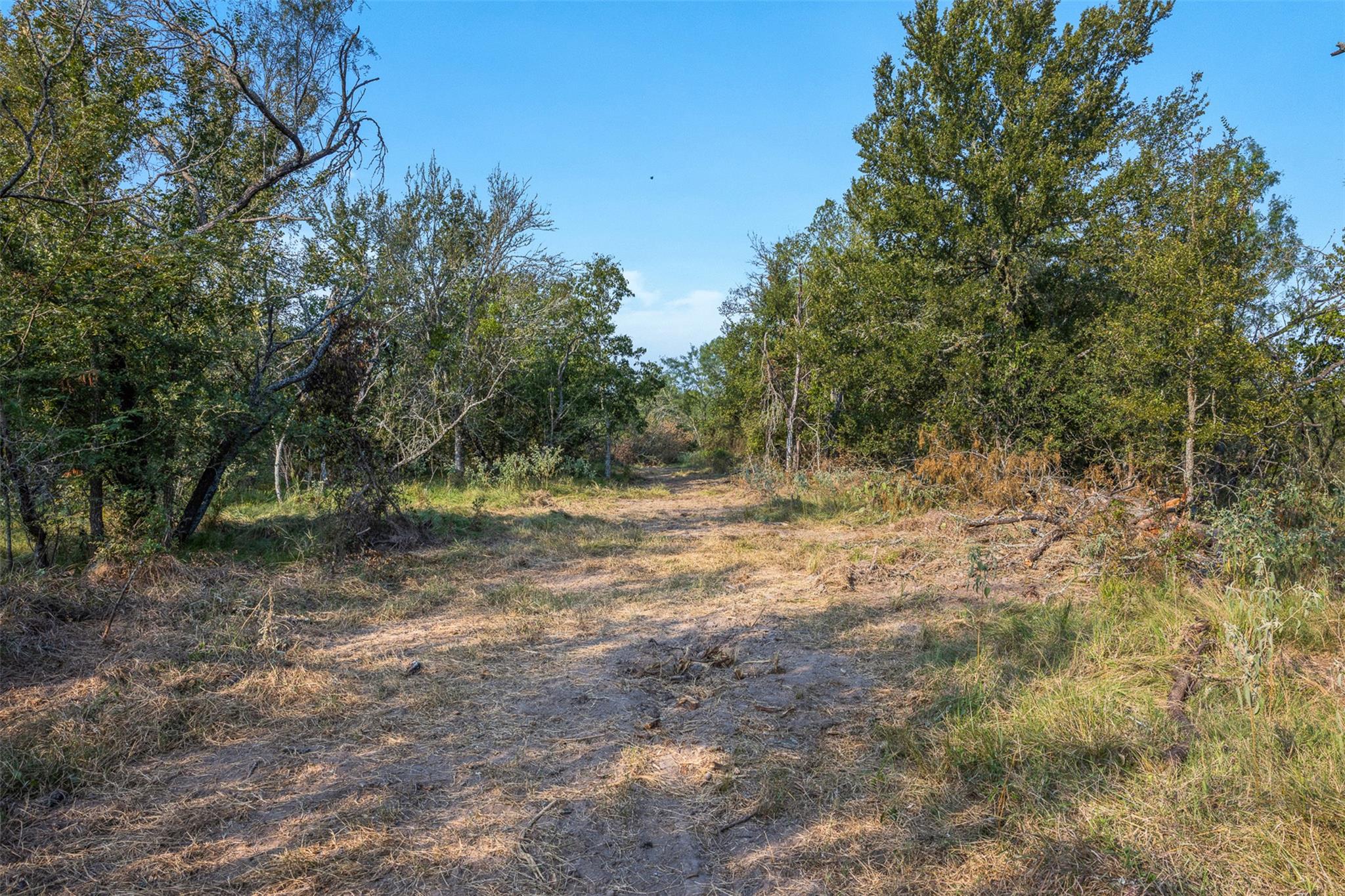 TBD FM Road 1644, Calvert, TX 77837