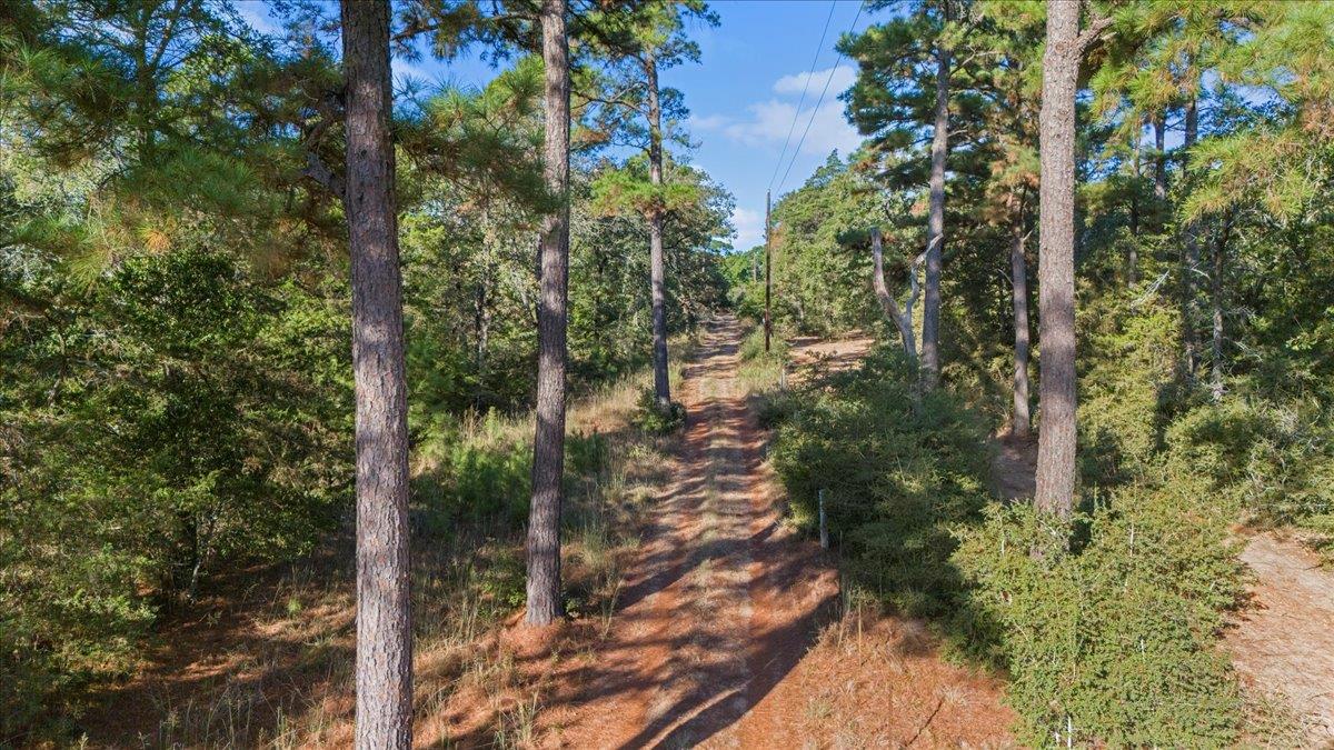 360 Copeland Hill Rd, Smithville, TX 78957