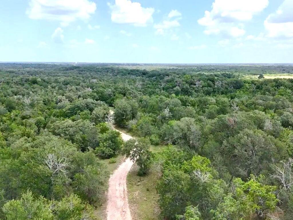 0 County Road 417, Waelder, TX 78959
