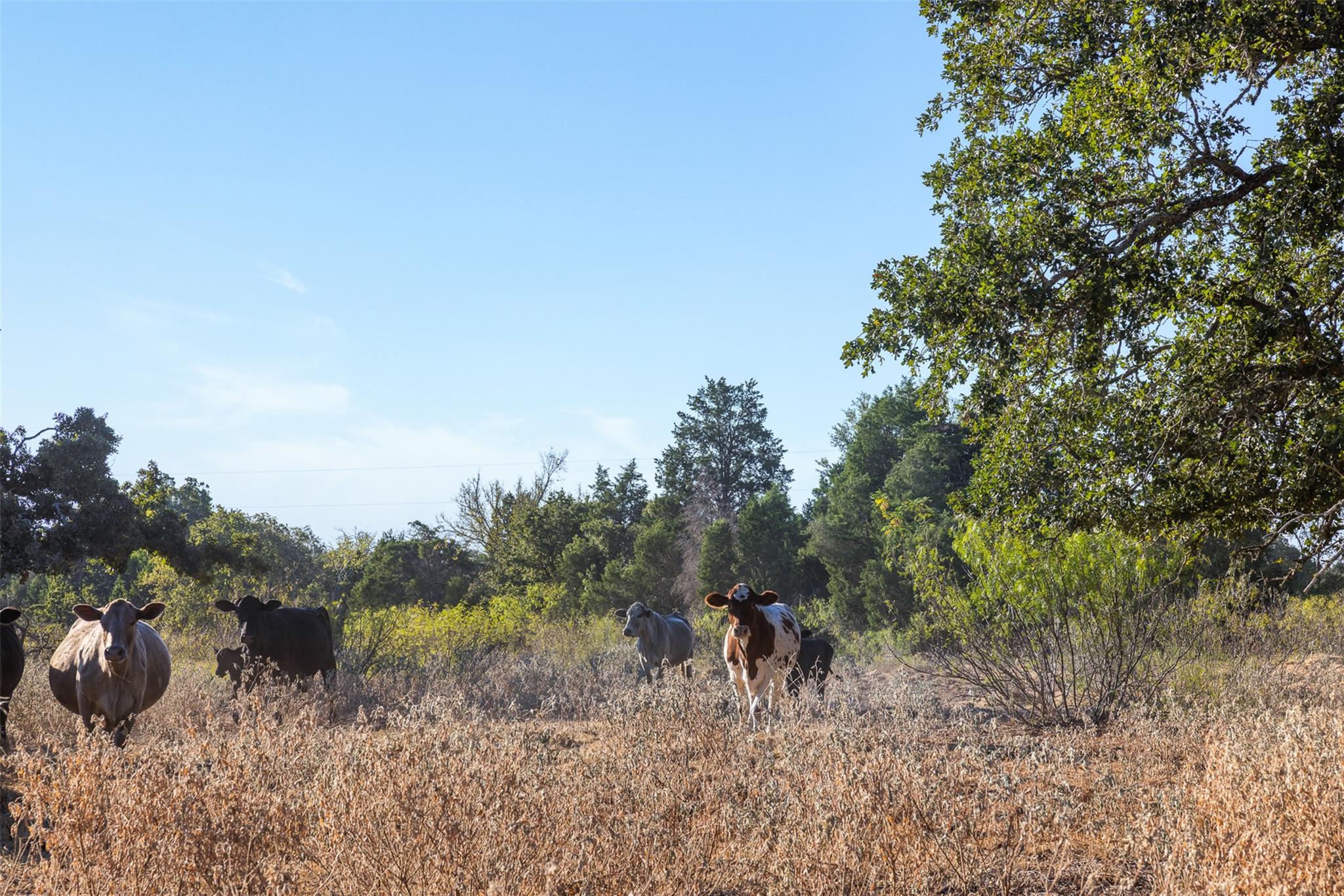 139 Fm 696, Elgin, TX 78621