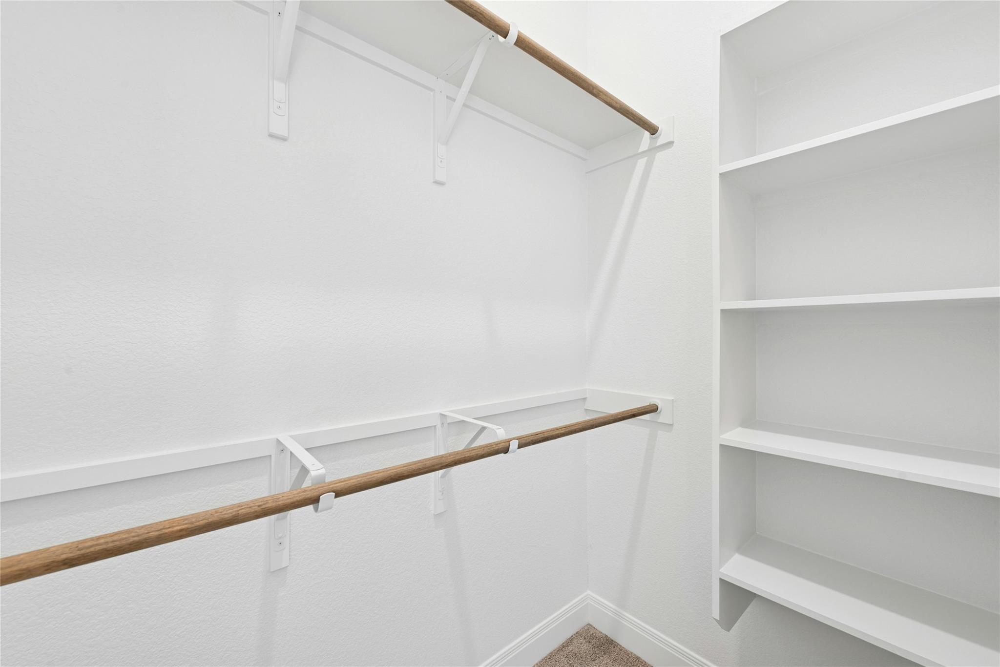 113 Shikra Cv, Cedar Creek, TX 78612