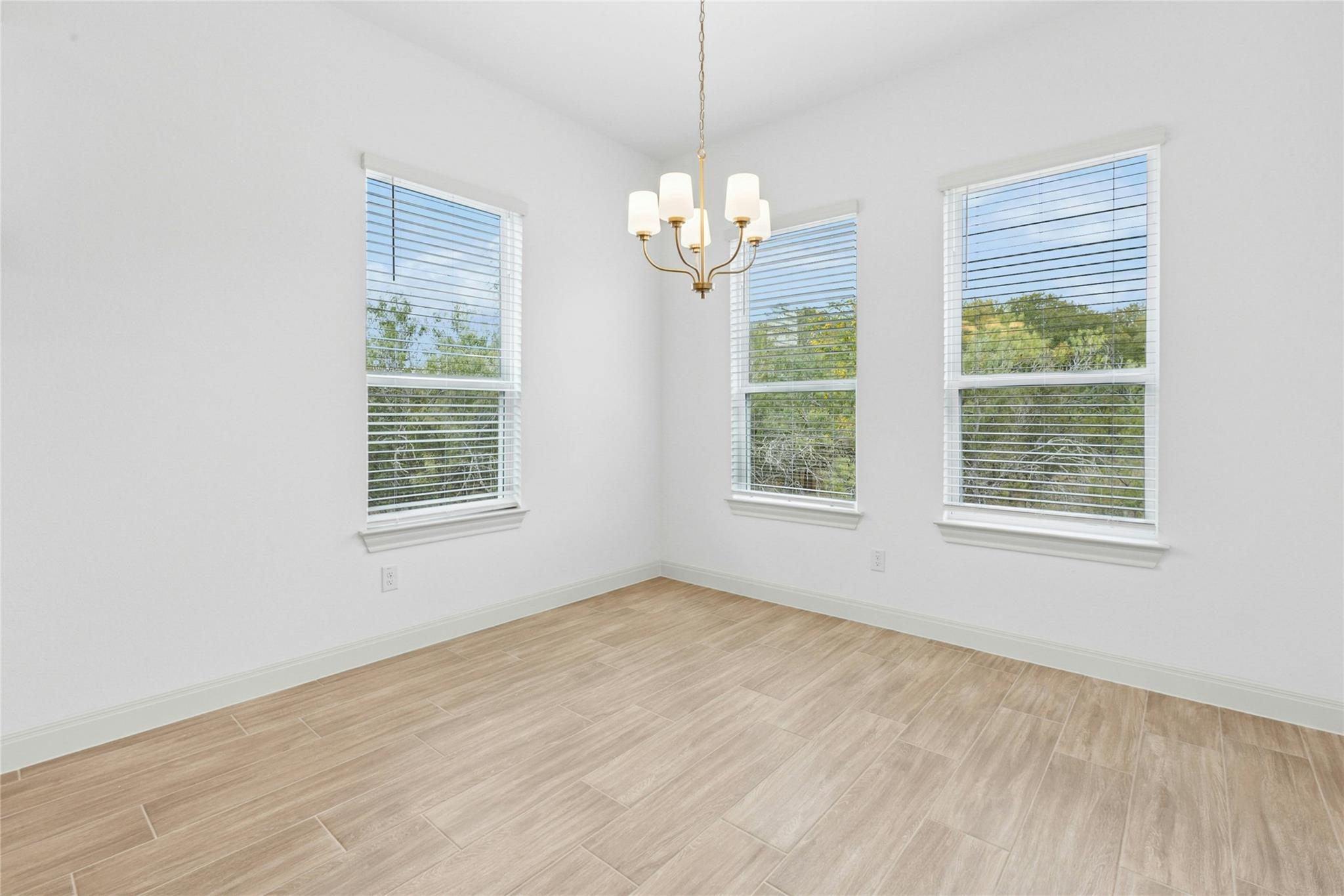 115 Buzzard Ct, Cedar Creek, TX 78612