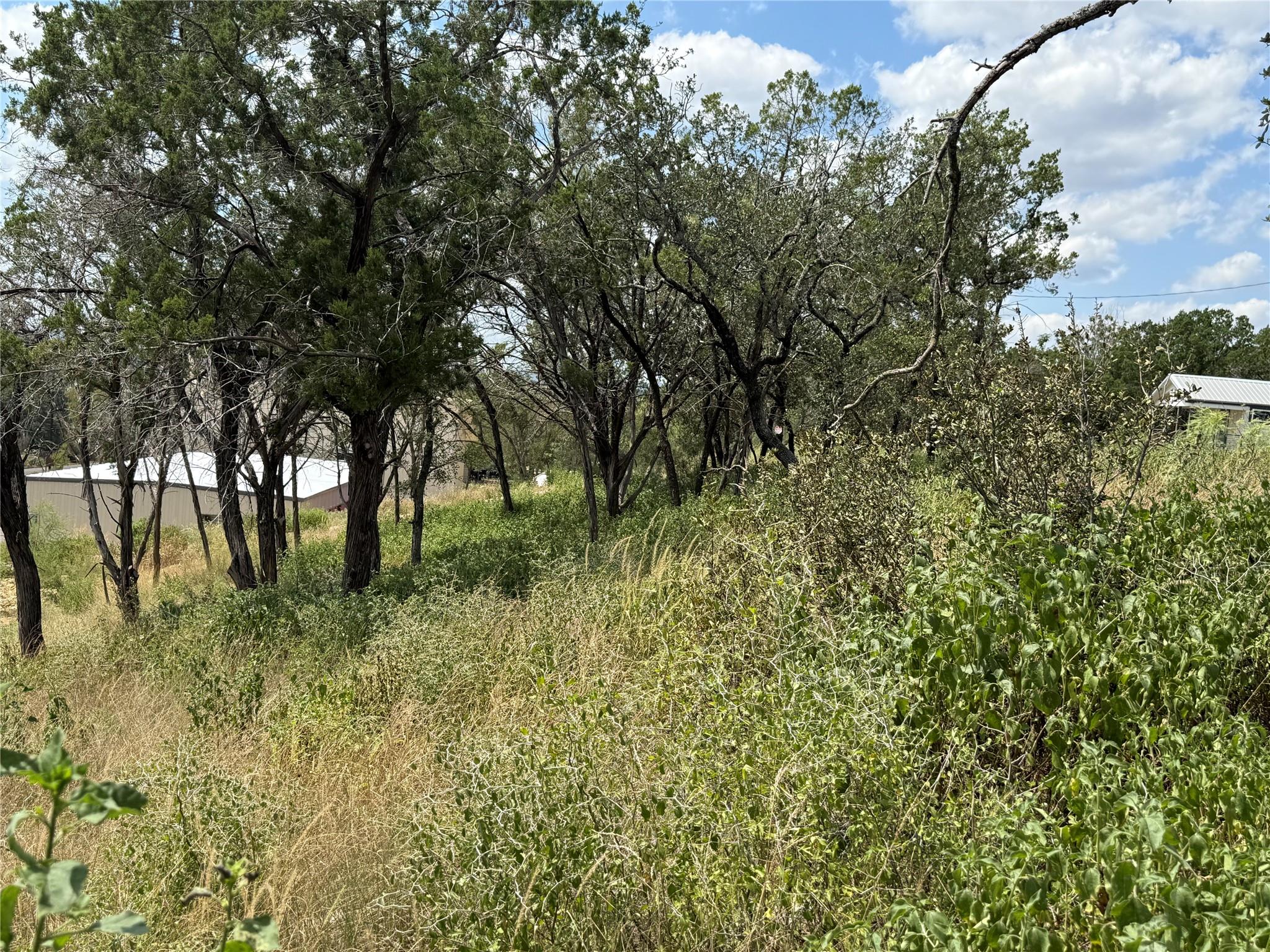 3830 COUNTY ROAD 410, Spicewood, TX 78669