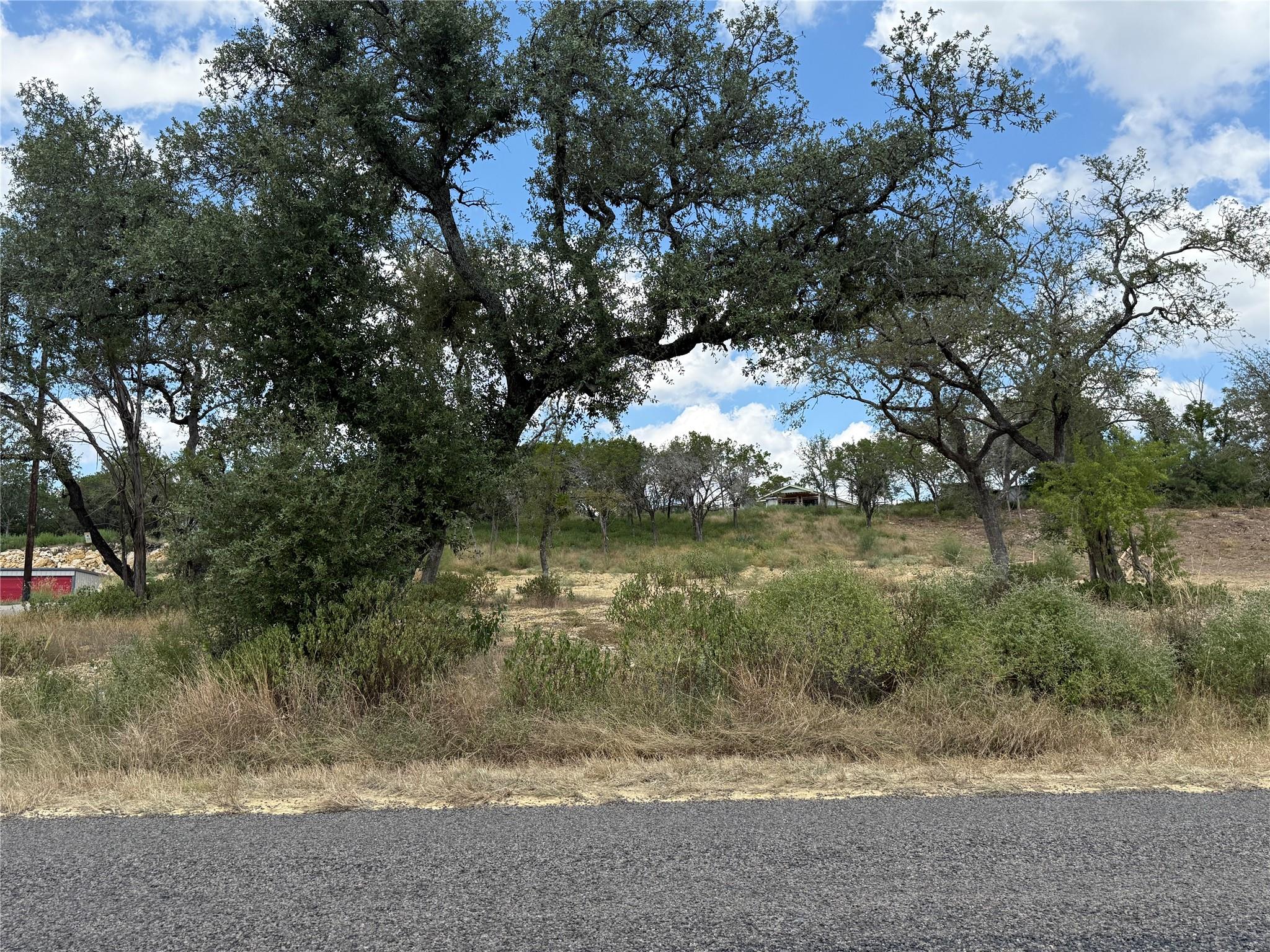 3830 COUNTY ROAD 410, Spicewood, TX 78669