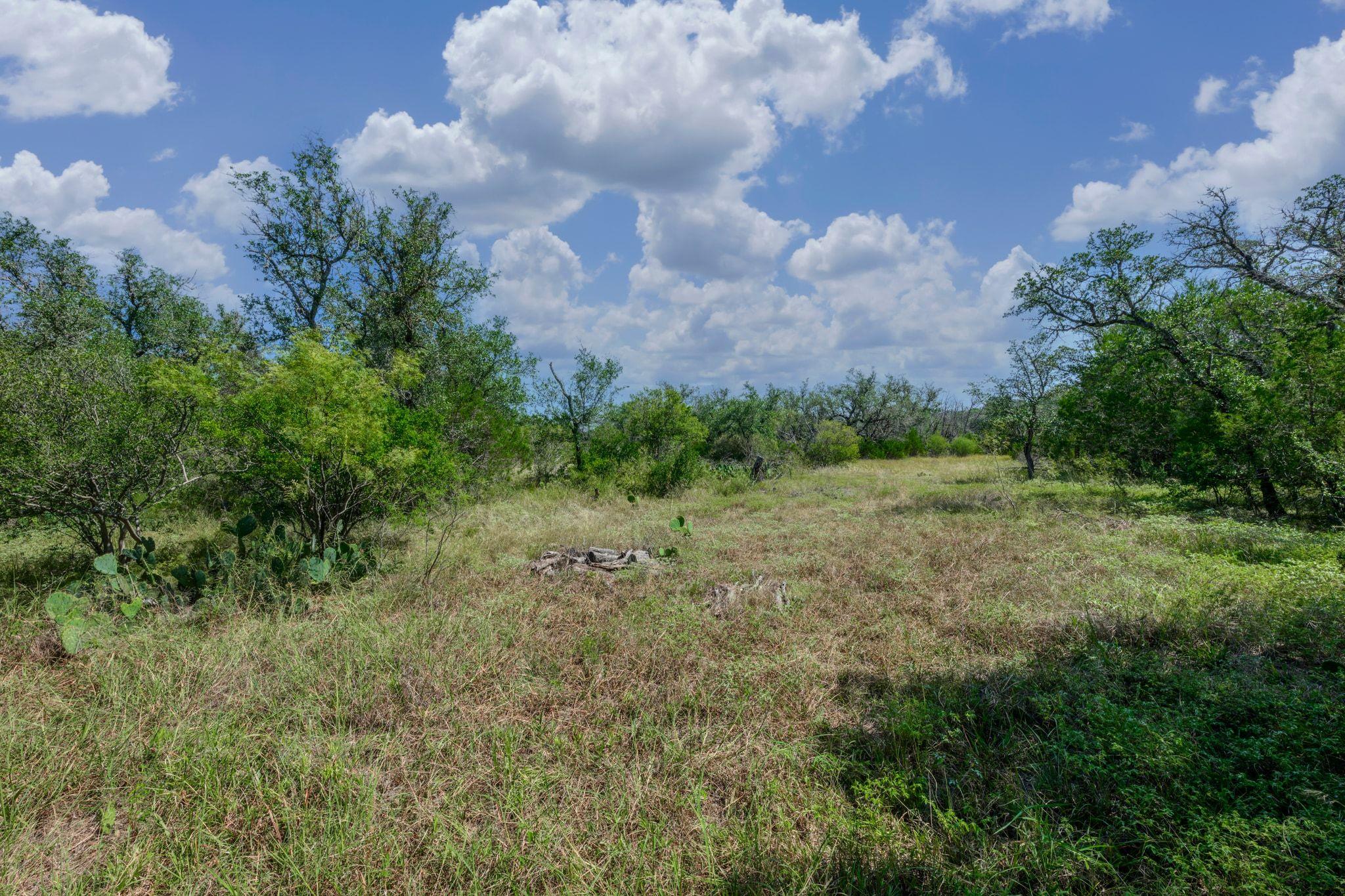 807 County Road 420, Spicewood, TX 78669