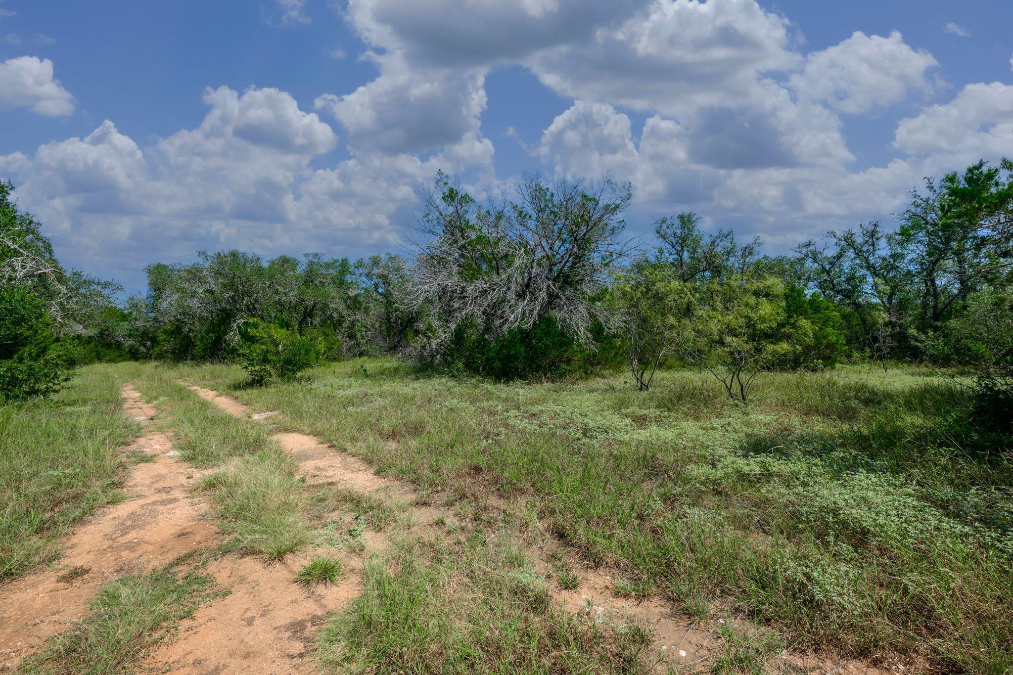 807 County Road 420, Spicewood, TX 78669