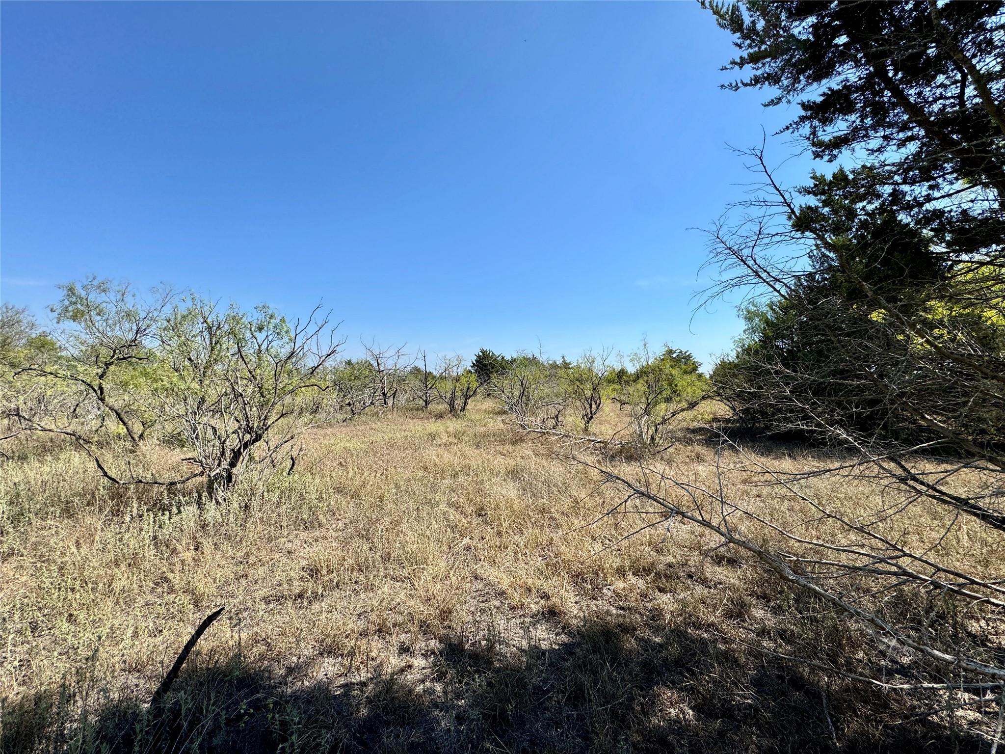 14312 Maha Rd, Austin, TX 78719