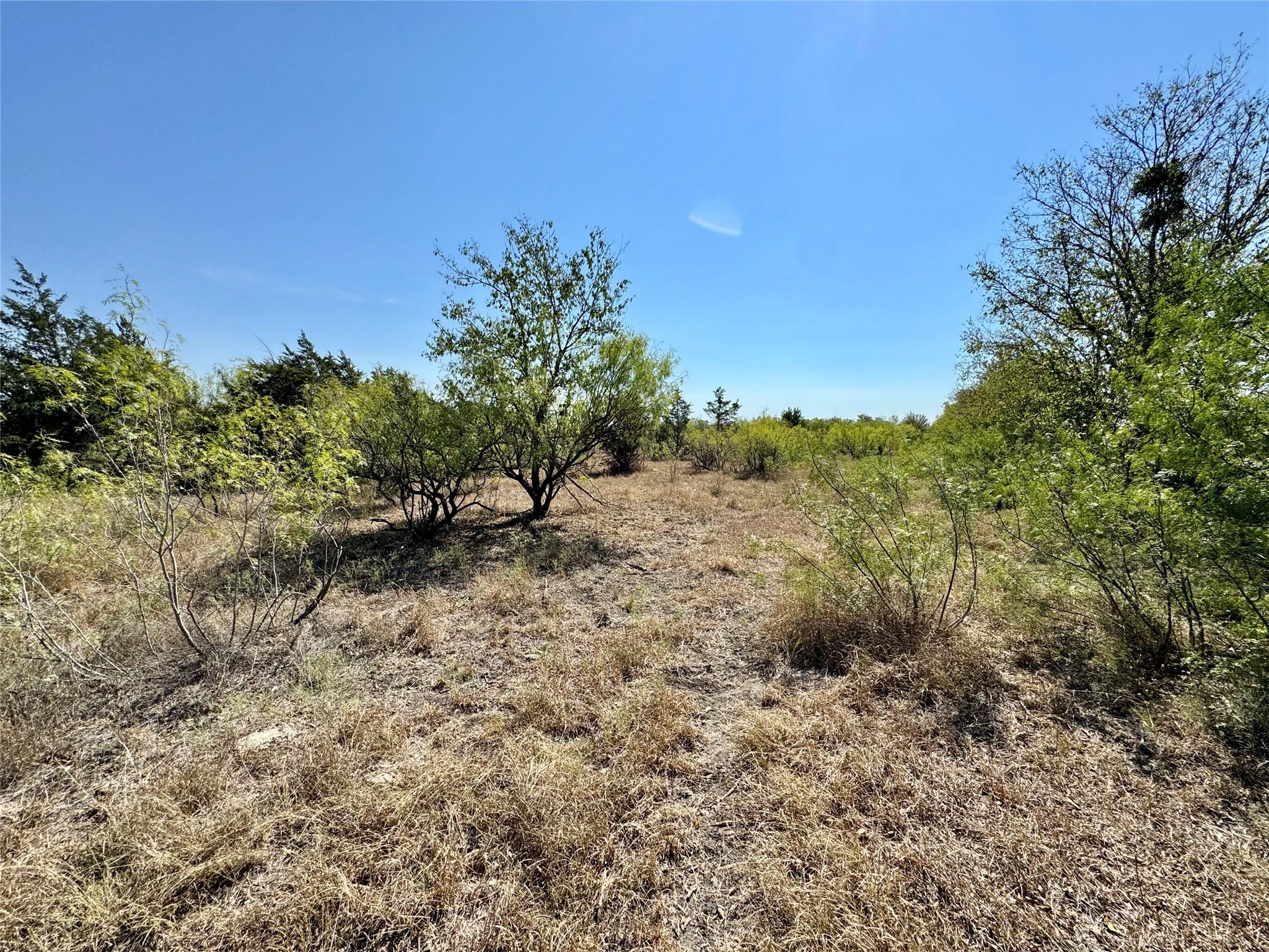 14312 Maha Rd, Austin, TX 78719