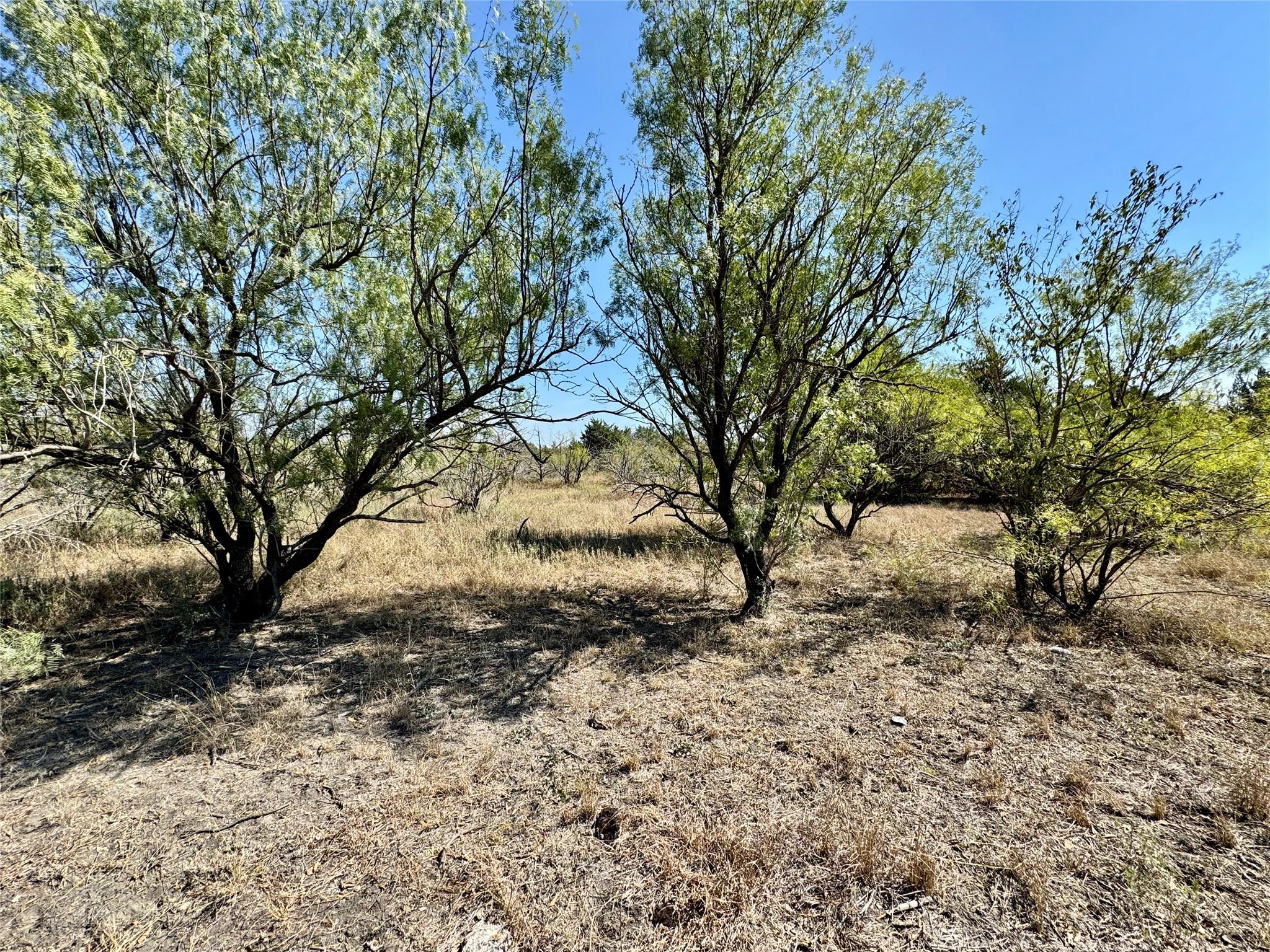 14312 Maha Rd, Austin, TX 78719