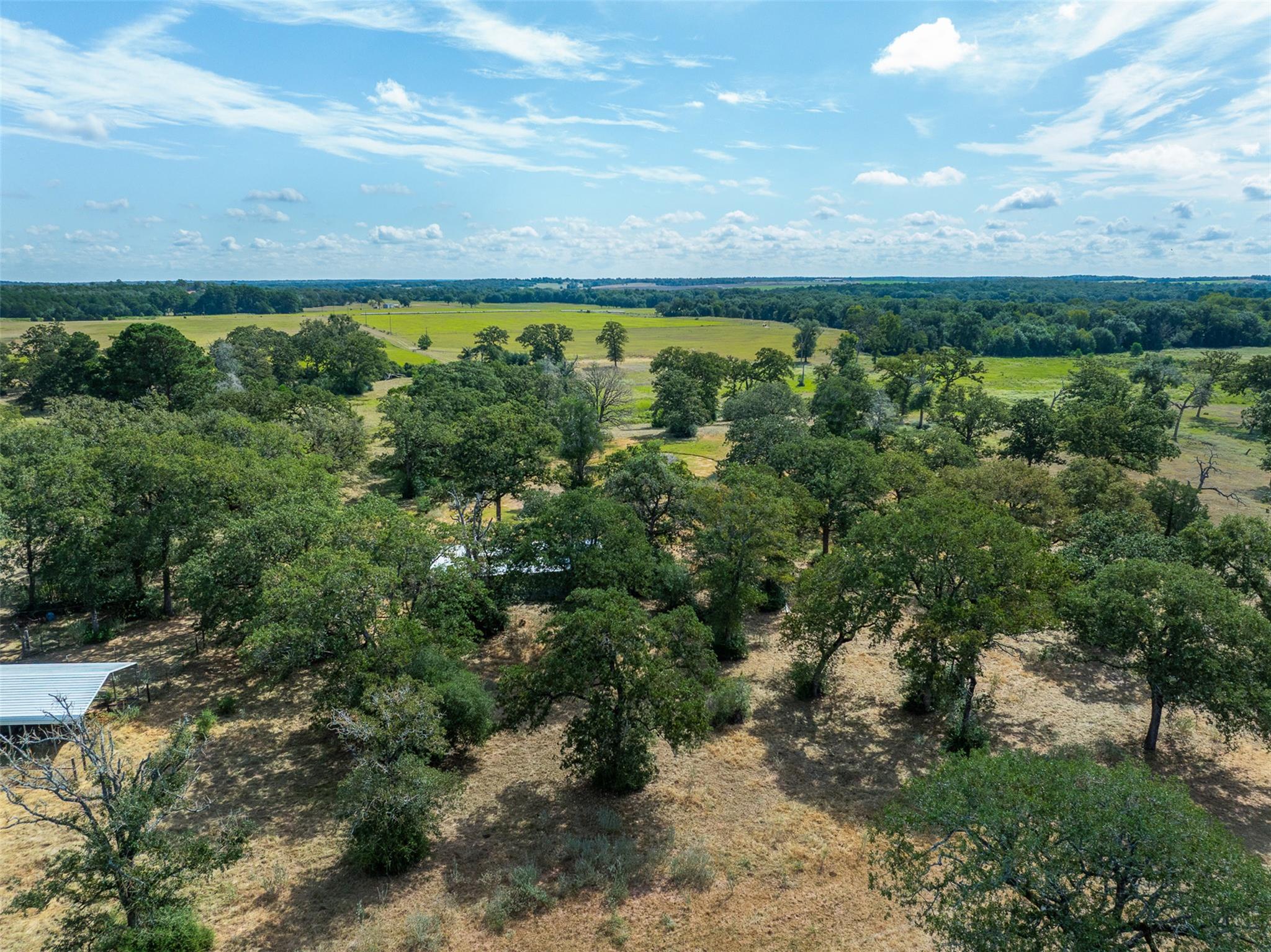 179 Stiewert Ln, Paige, TX 78659