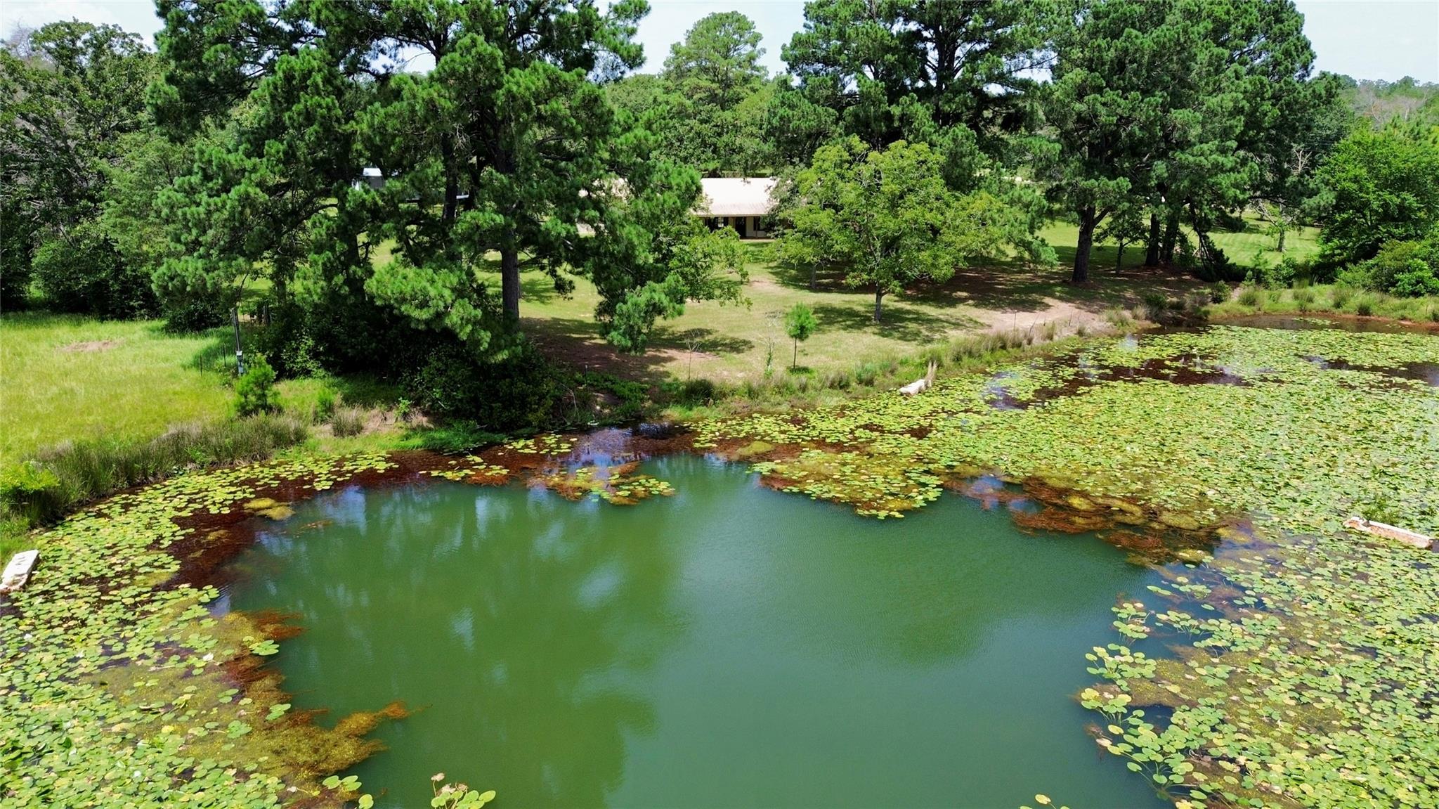 179 Stiewert Ln, Paige, TX 78659