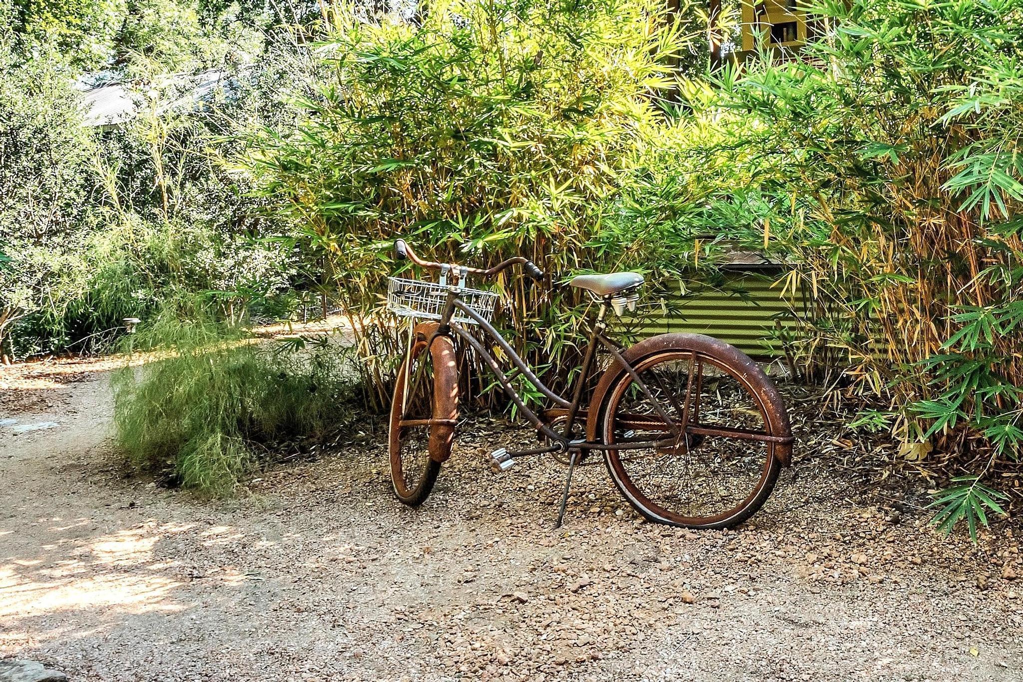 1704 Singleton Ave, Austin, TX 78702