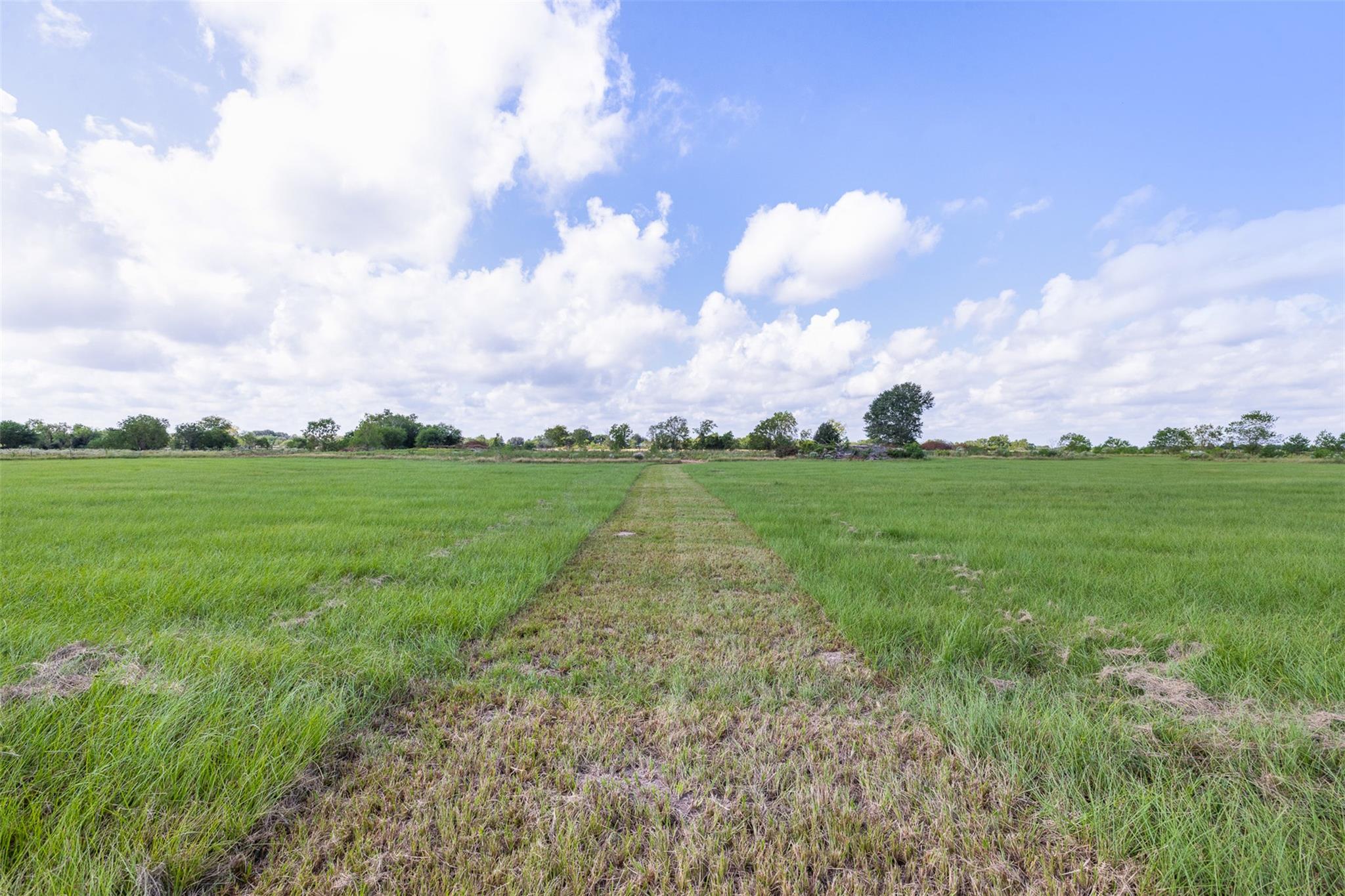 1713 Woody Ln, Sealy, TX 77474