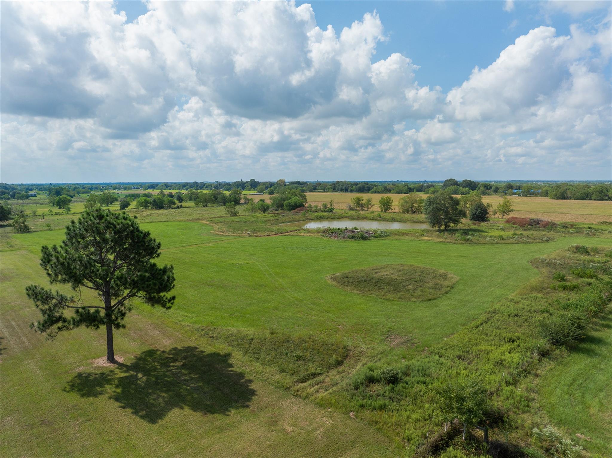 1713 Woody Ln, Sealy, TX 77474