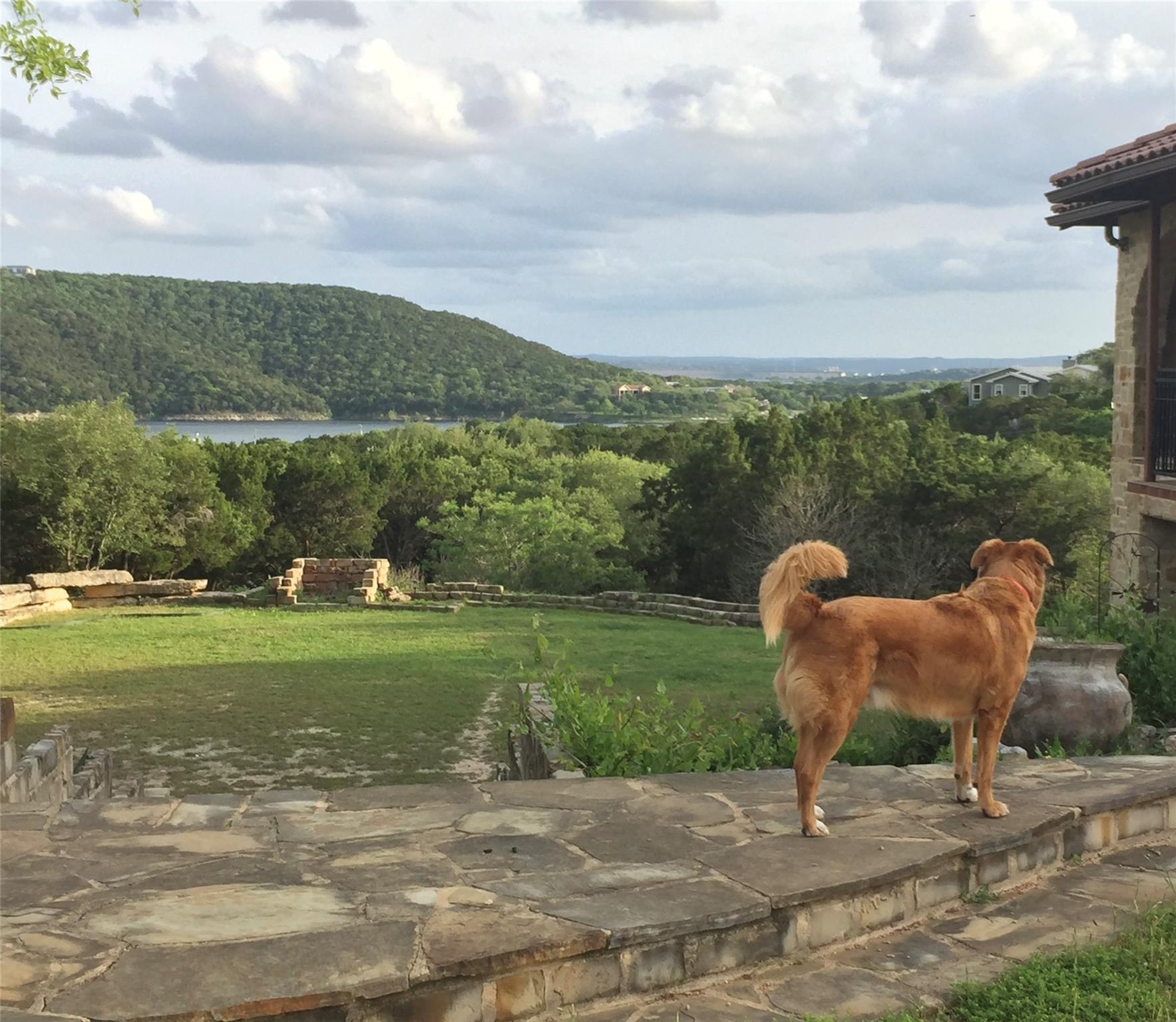 14707 FM 2769 Rd, Leander, TX 78641