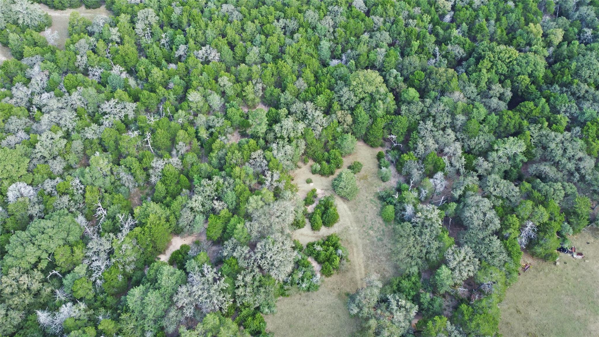 171 Flower Hill Rd, Smithville, TX 78957