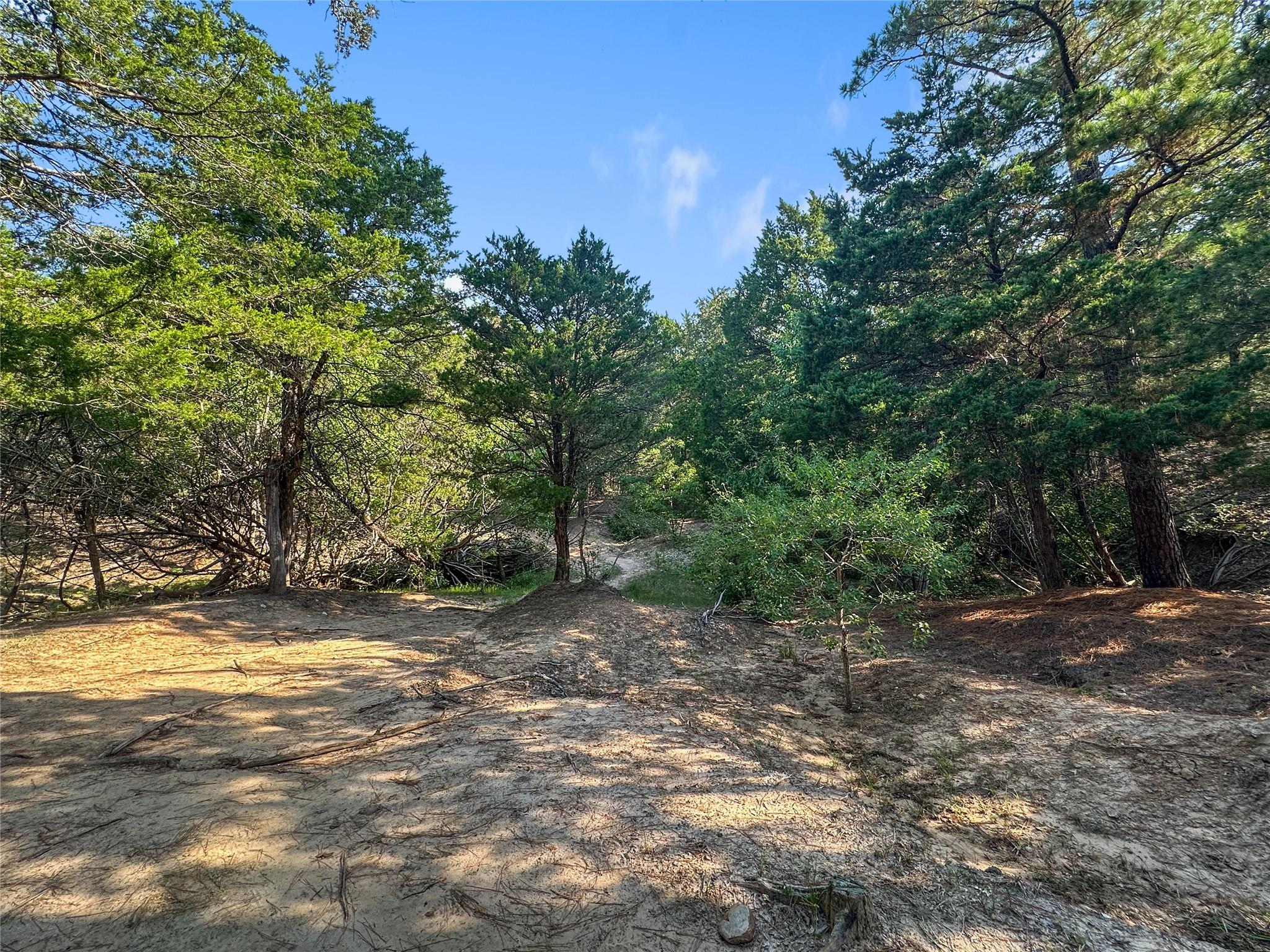 171 Flower Hill Rd, Smithville, TX 78957