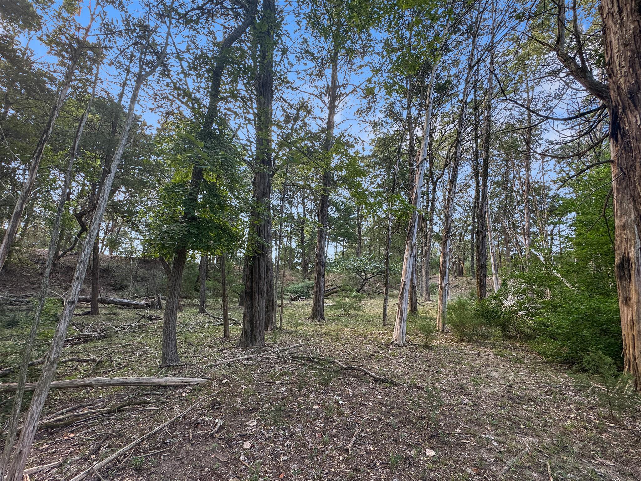 171 Flower Hill Rd, Smithville, TX 78957