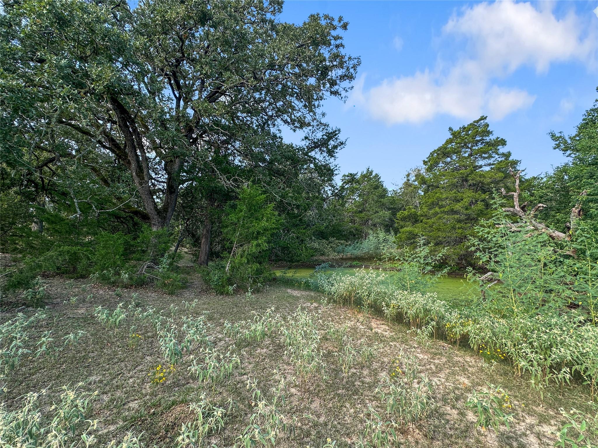 171 Flower Hill Rd, Smithville, TX 78957