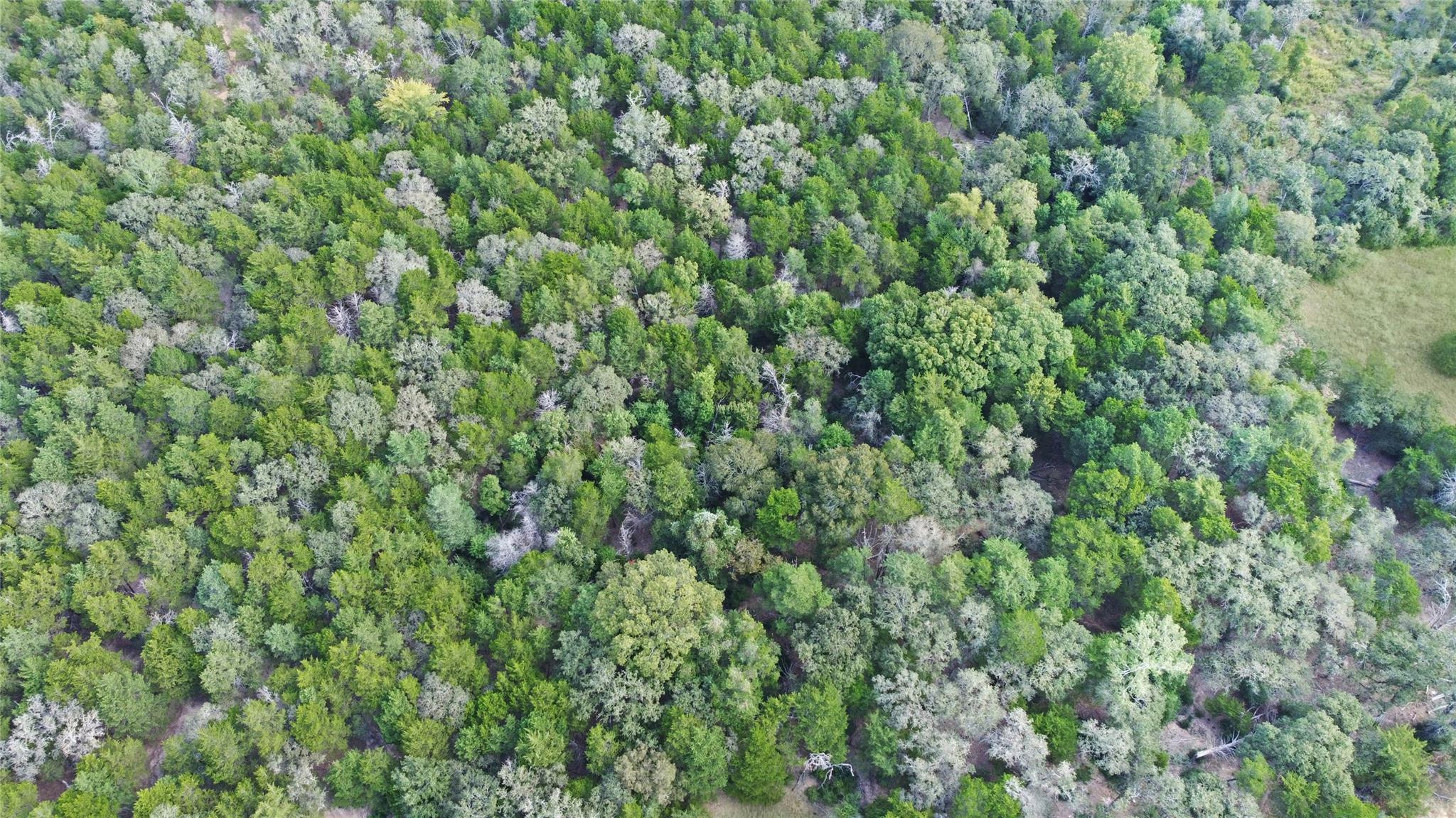 171 Flower Hill Rd, Smithville, TX 78957