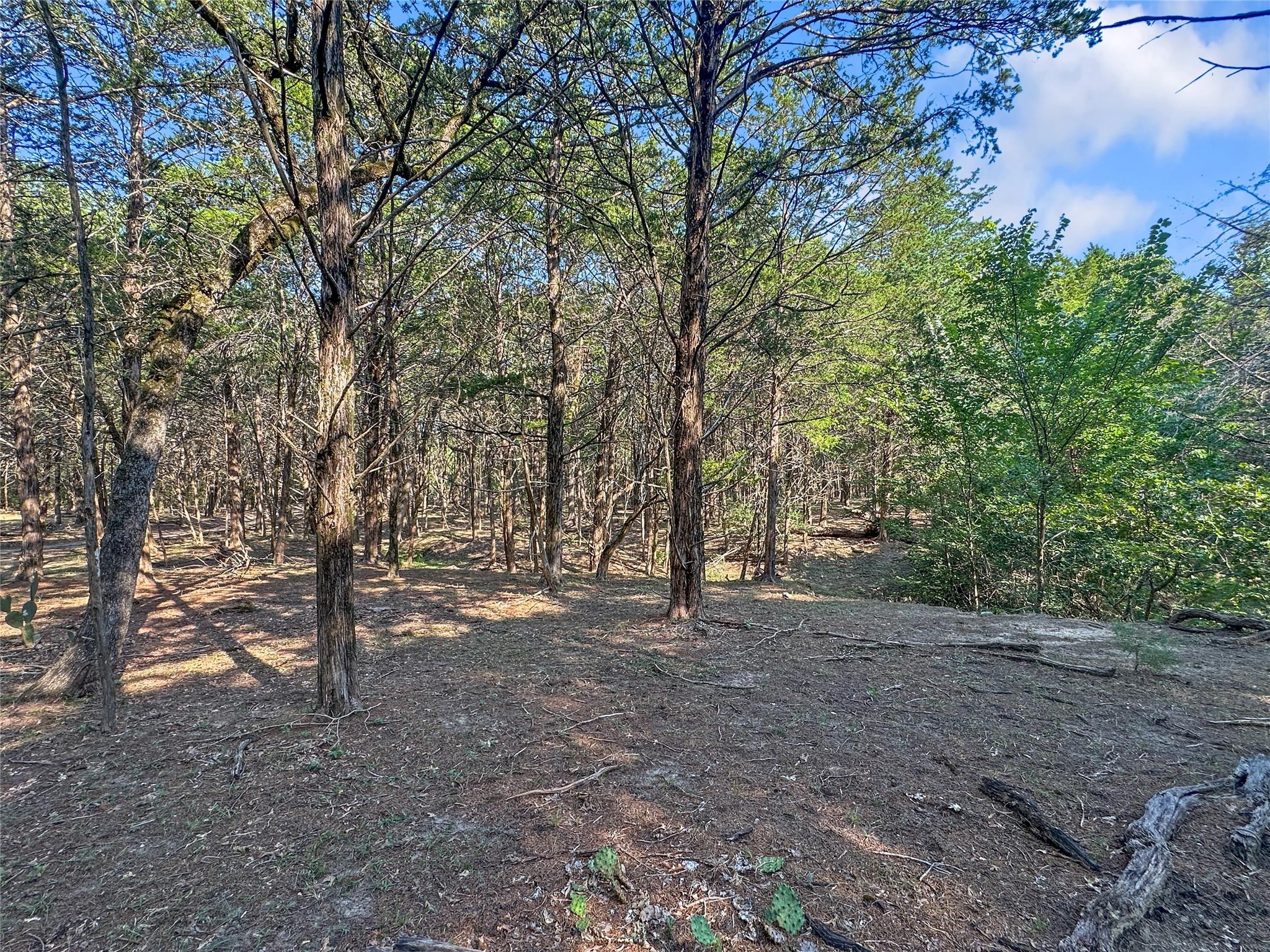 171 Flower Hill Rd, Smithville, TX 78957