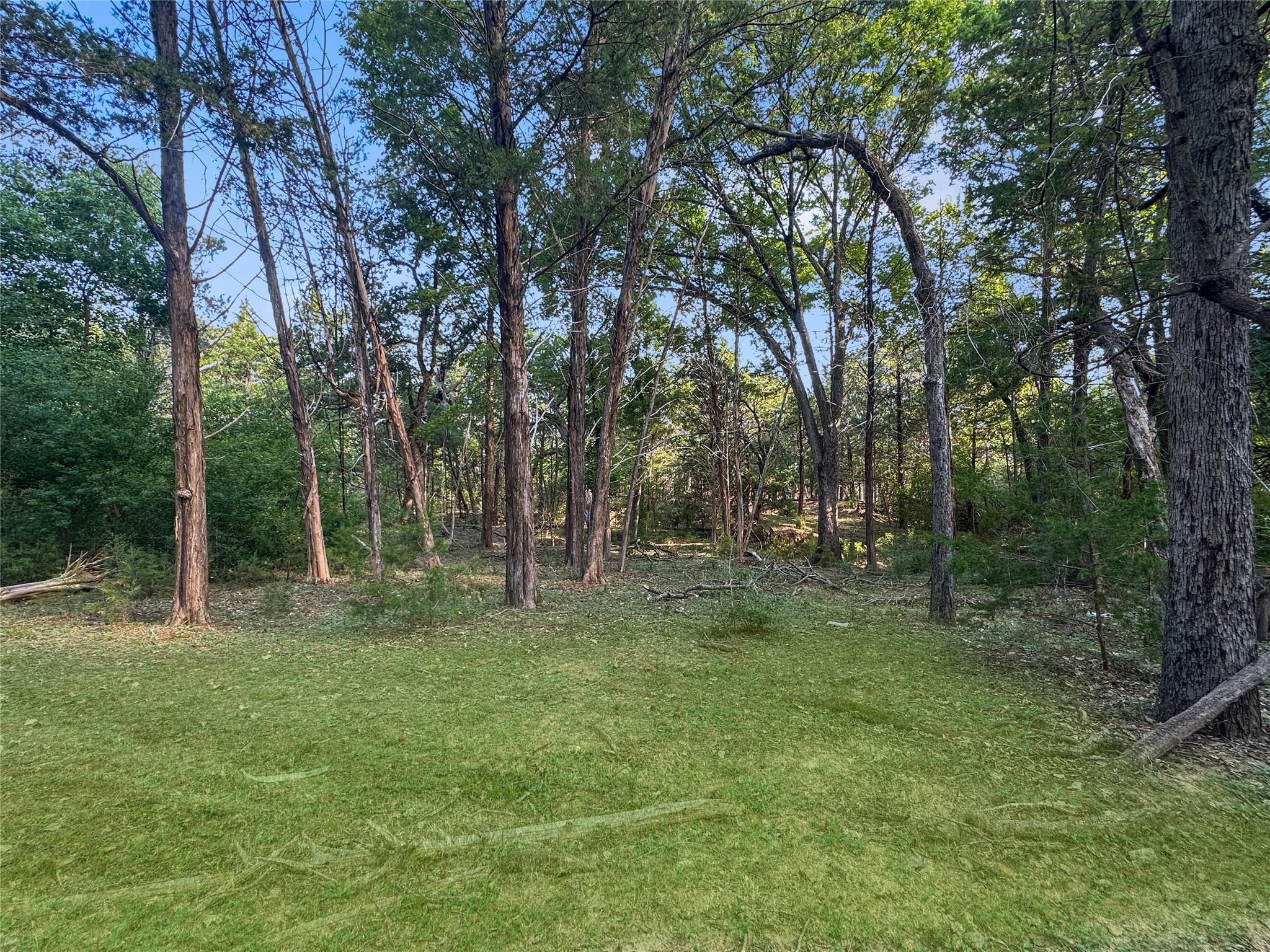 171 Flower Hill Rd, Smithville, TX 78957