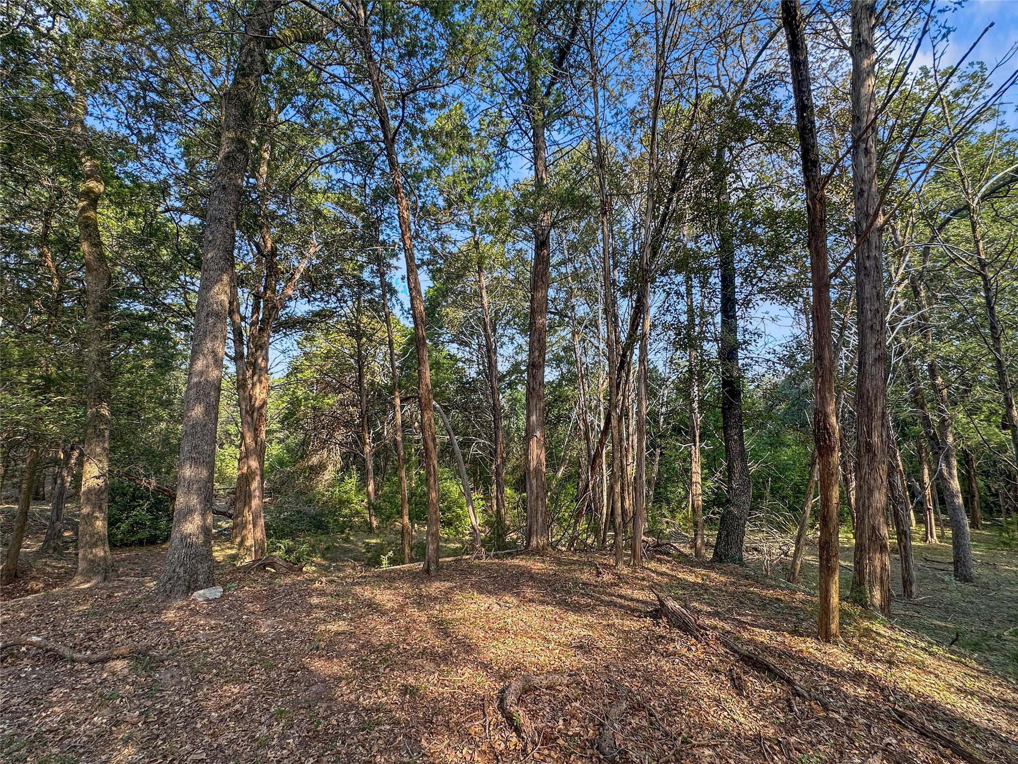 171 Flower Hill Rd, Smithville, TX 78957