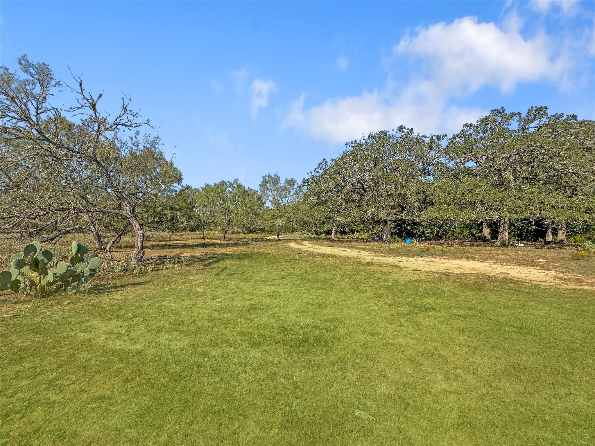 171 Flower Hill Rd, Smithville, TX 78957