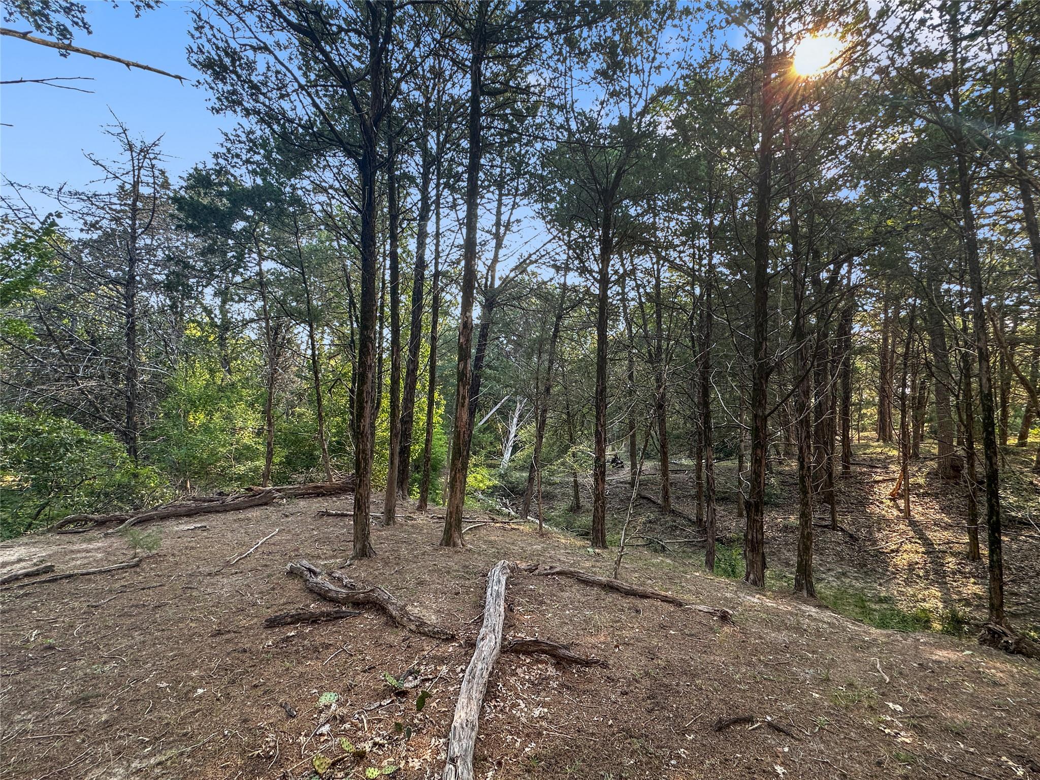 171 Flower Hill Rd, Smithville, TX 78957