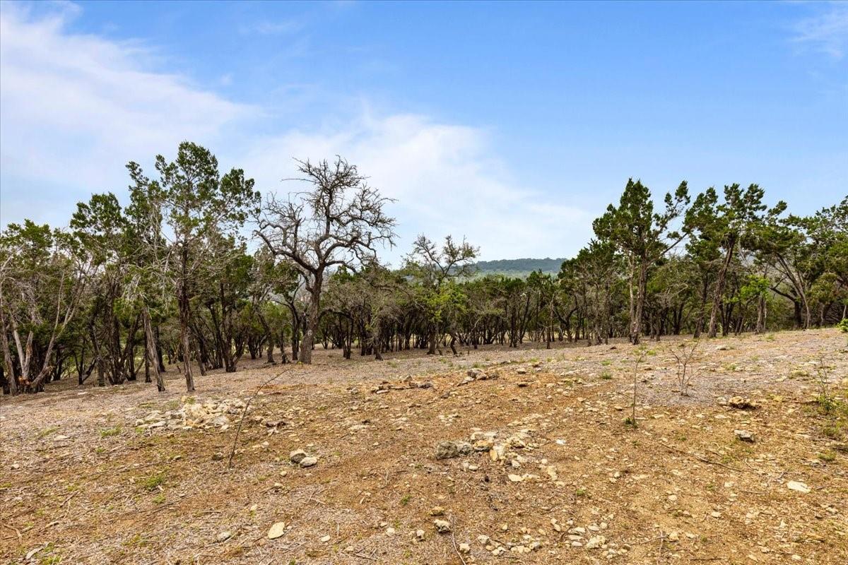 4519 Crawford Rd, Spicewood, TX 78669