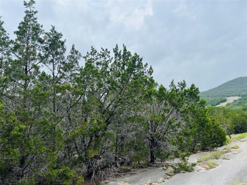 21603 Wyoming Pass, Lago Vista, TX 78645