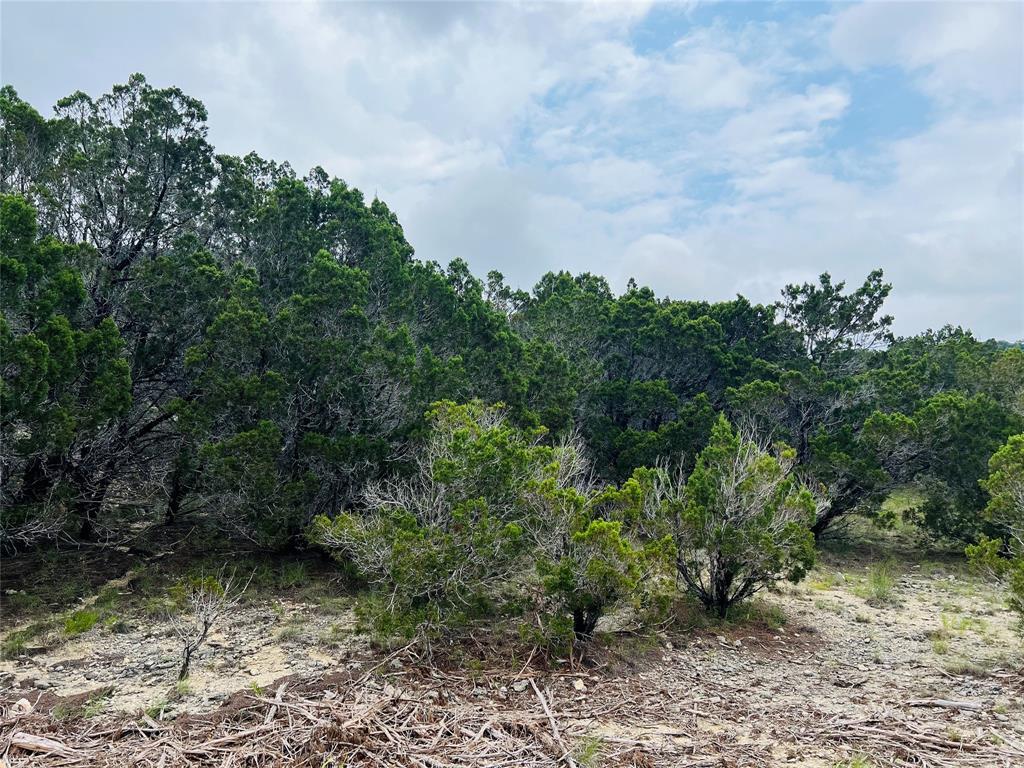21603 Wyoming Pass, Lago Vista, TX 78645
