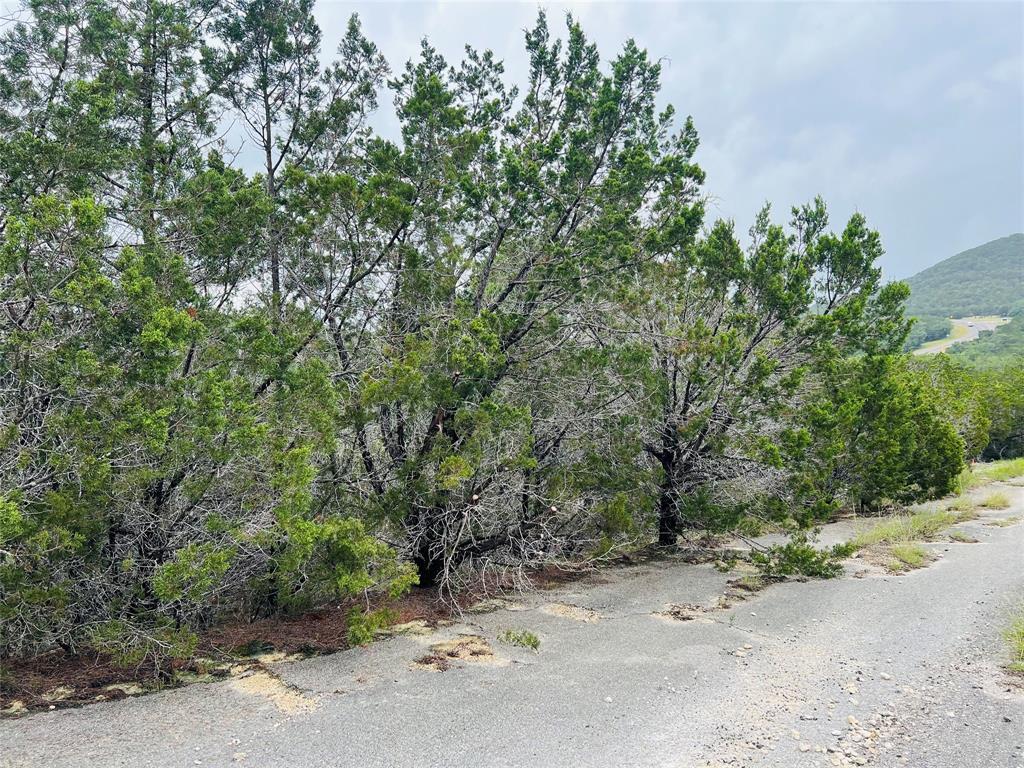 21603 Wyoming Pass, Lago Vista, TX 78645