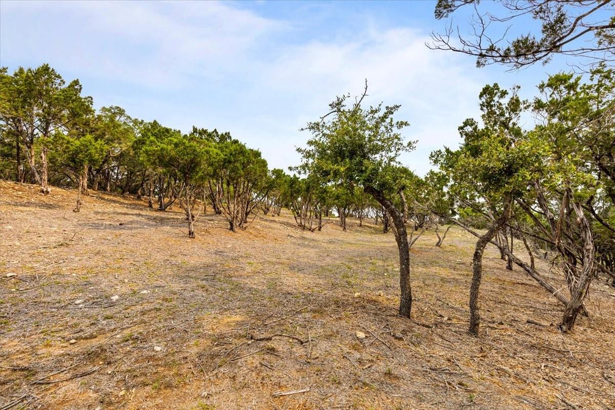 4519 Crawford Rd, Spicewood, TX 78669