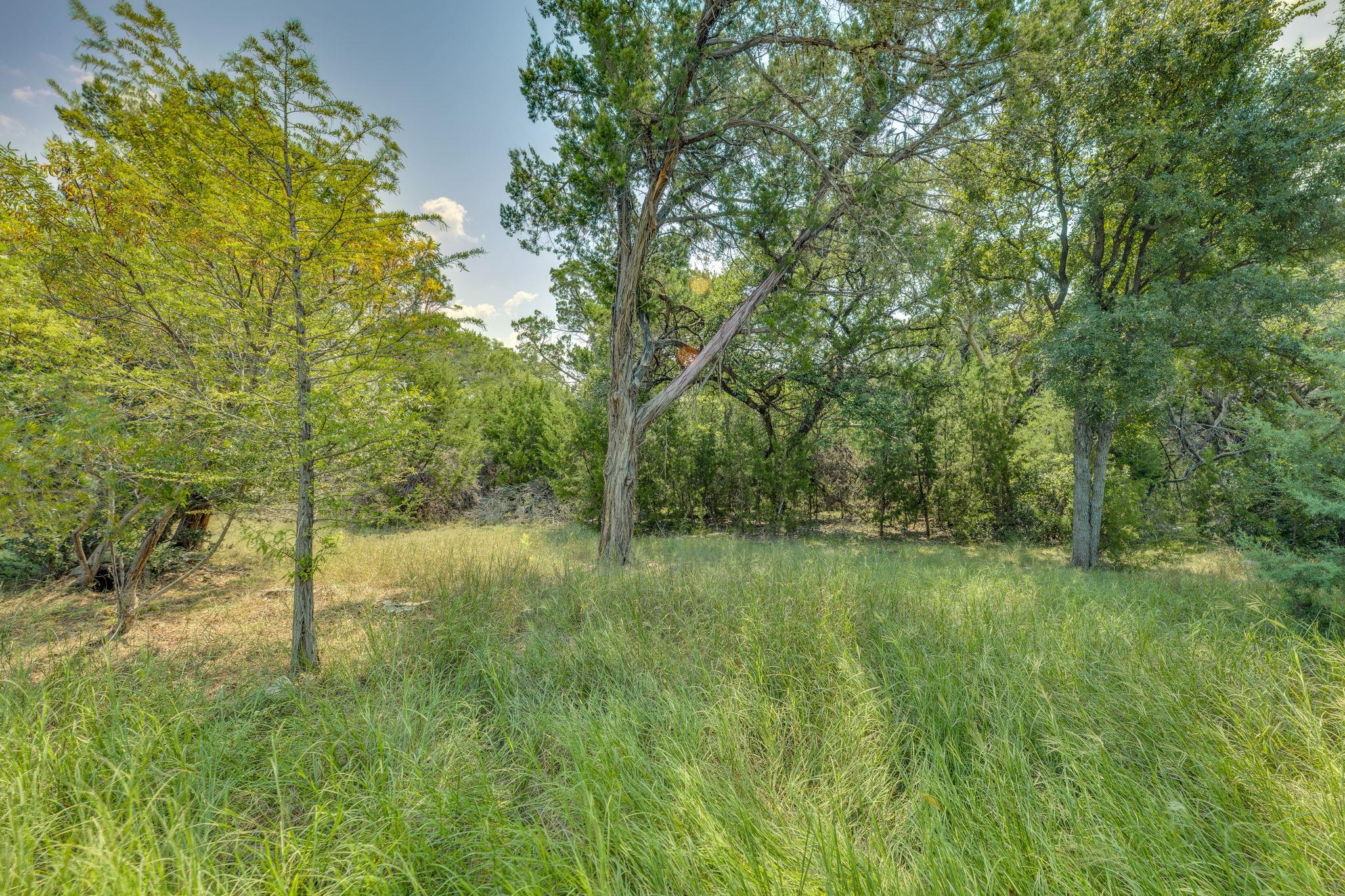 705 Holiday Creek Ln, Georgetown, TX 78633