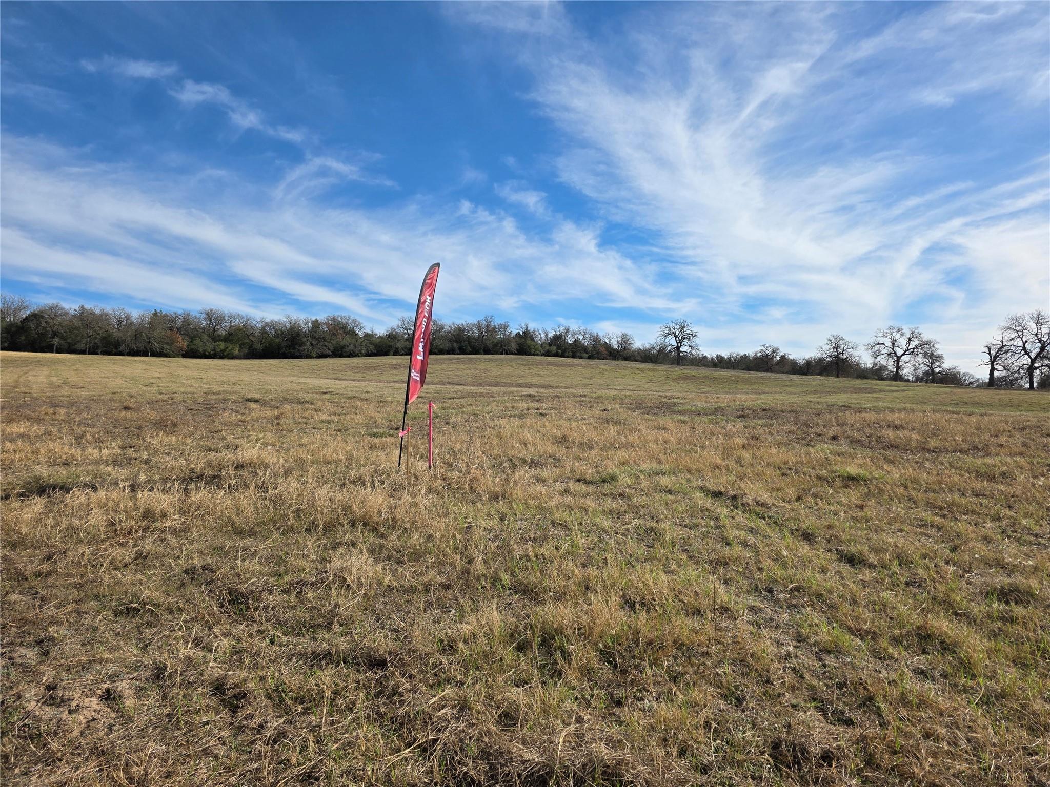 2055 CR 481 Tract 1, Thrall, TX 76578