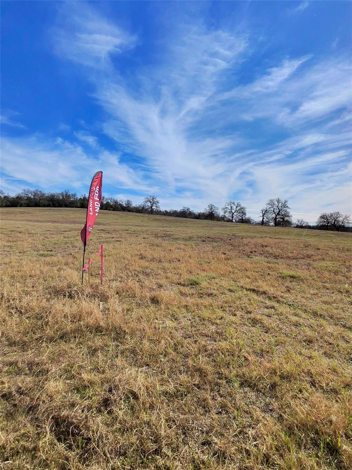 2055 CR 481 Tract 1, Thrall, TX 76578