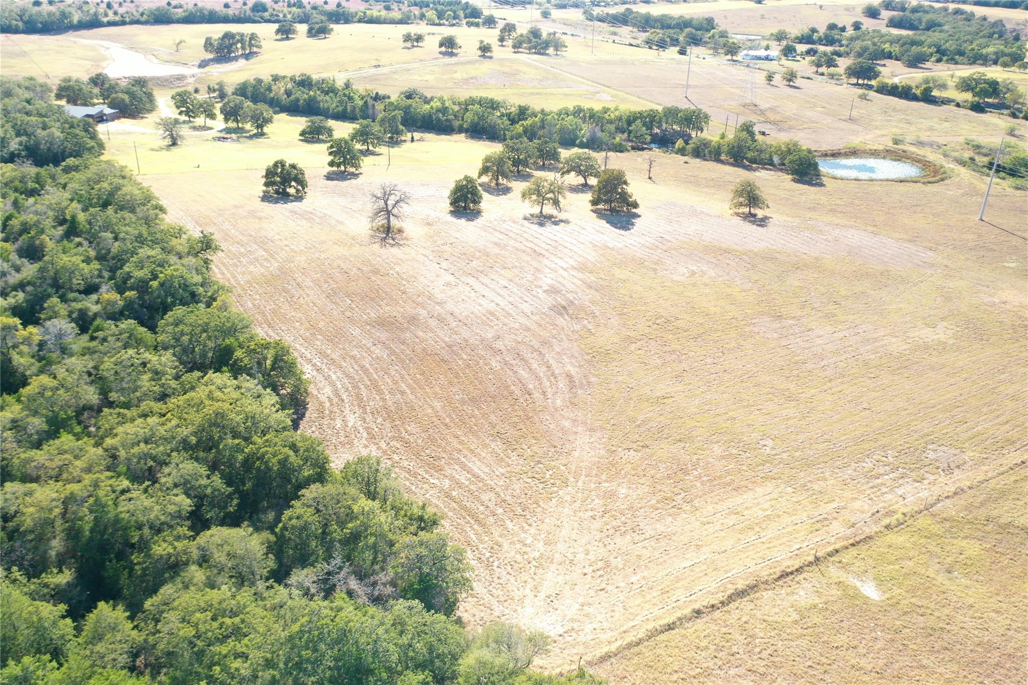 2055 CR 481 Tract 1, Thrall, TX 76578