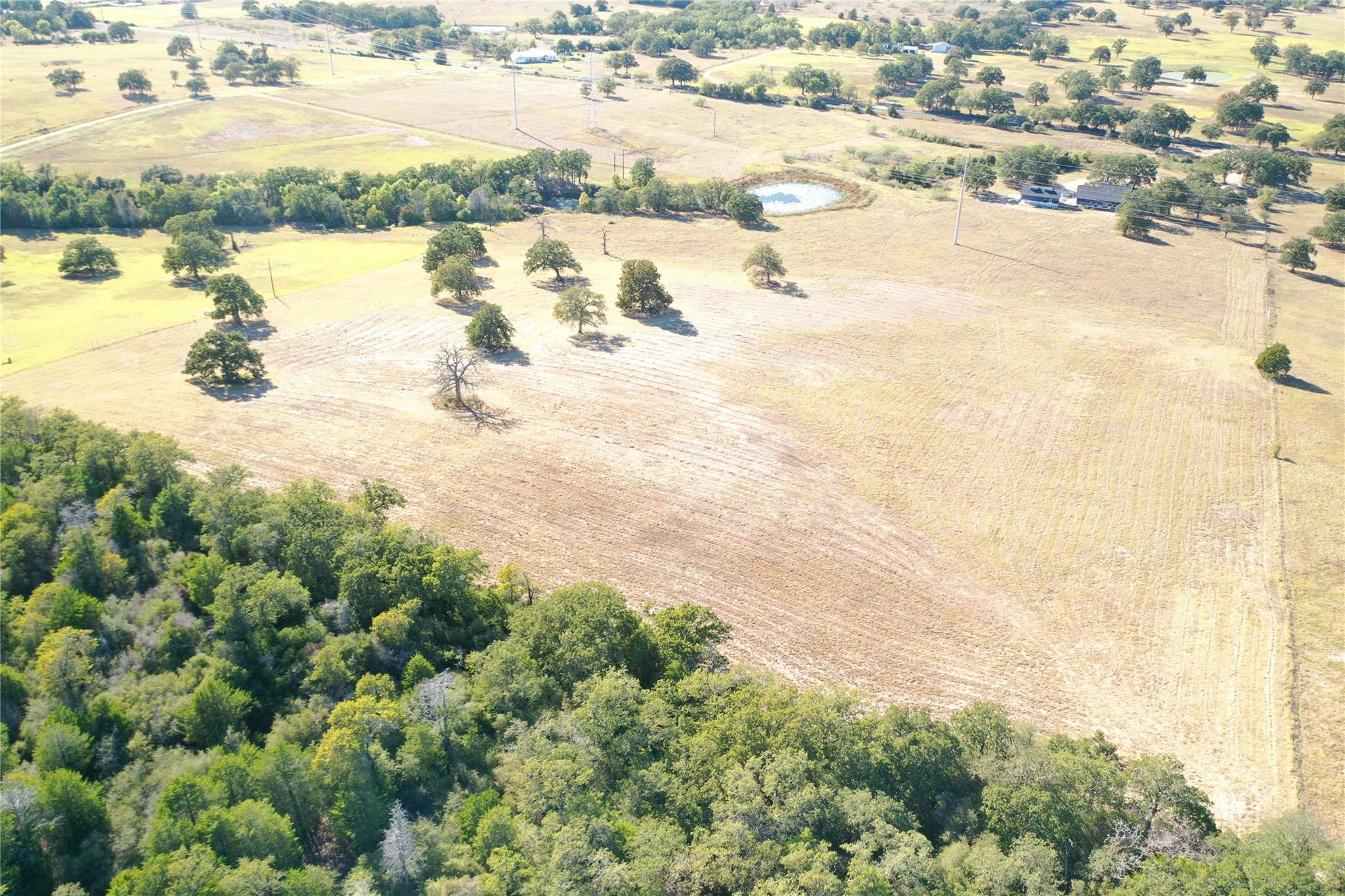 2055 CR 481 Tract 1, Thrall, TX 76578