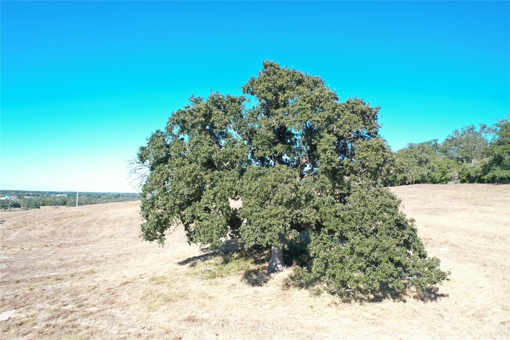 2055 CR 481 Tract 1, Thrall, TX 76578