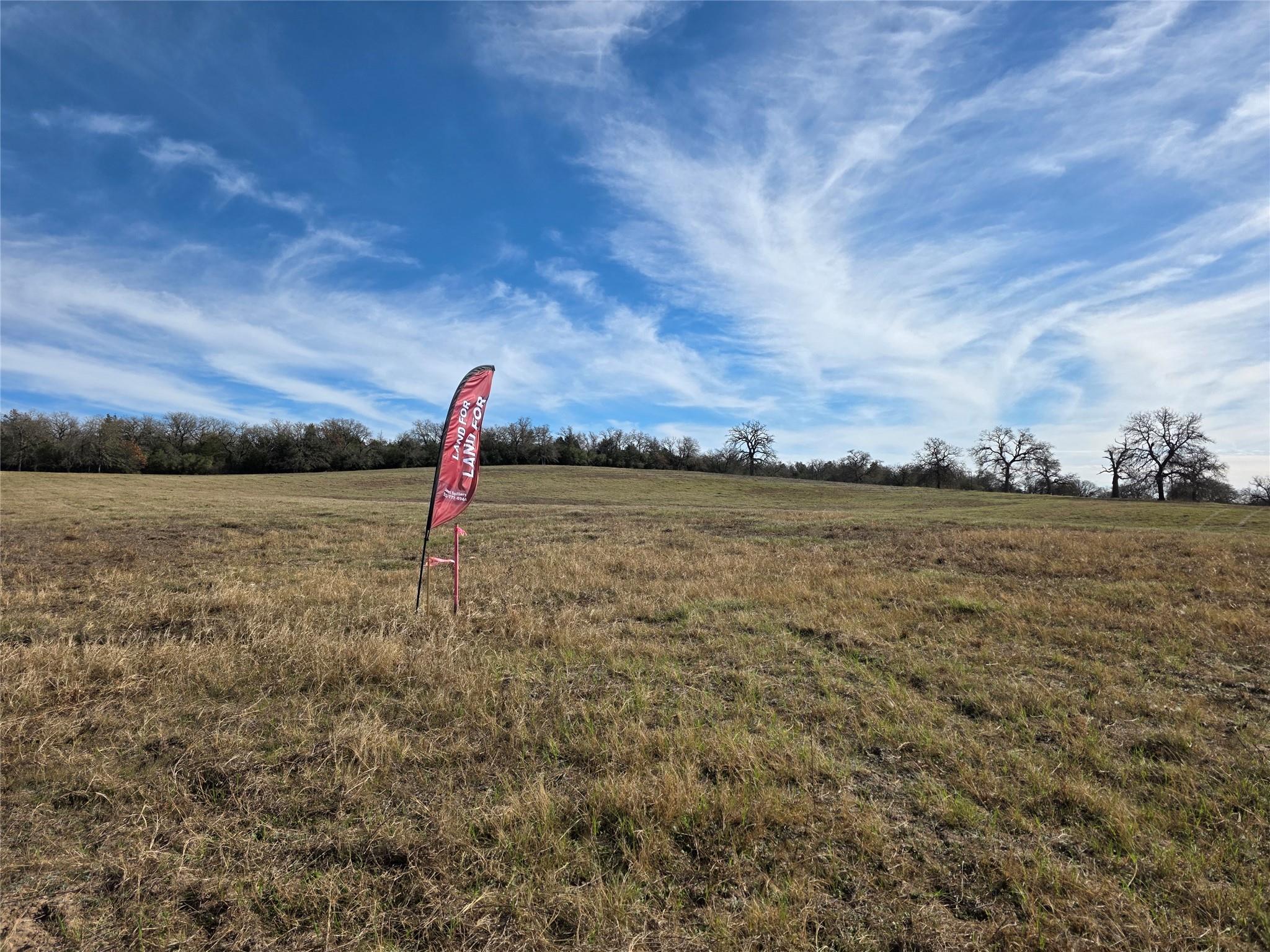 2055 CR 481 Tract 1, Thrall, TX 76578