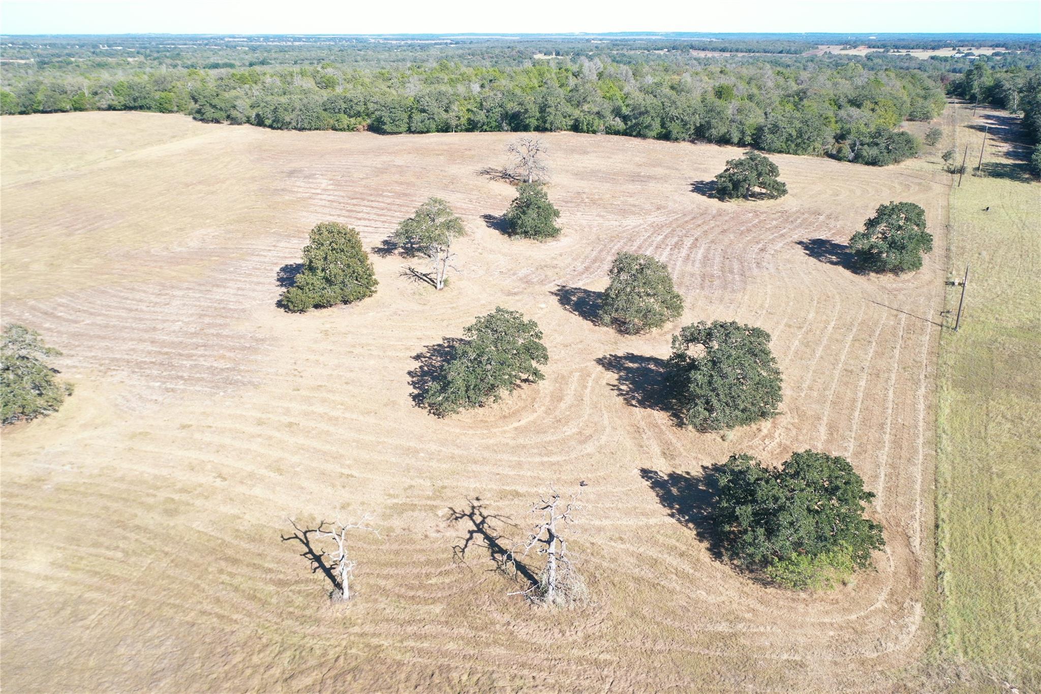 2055 CR 481 Tract 1, Thrall, TX 76578