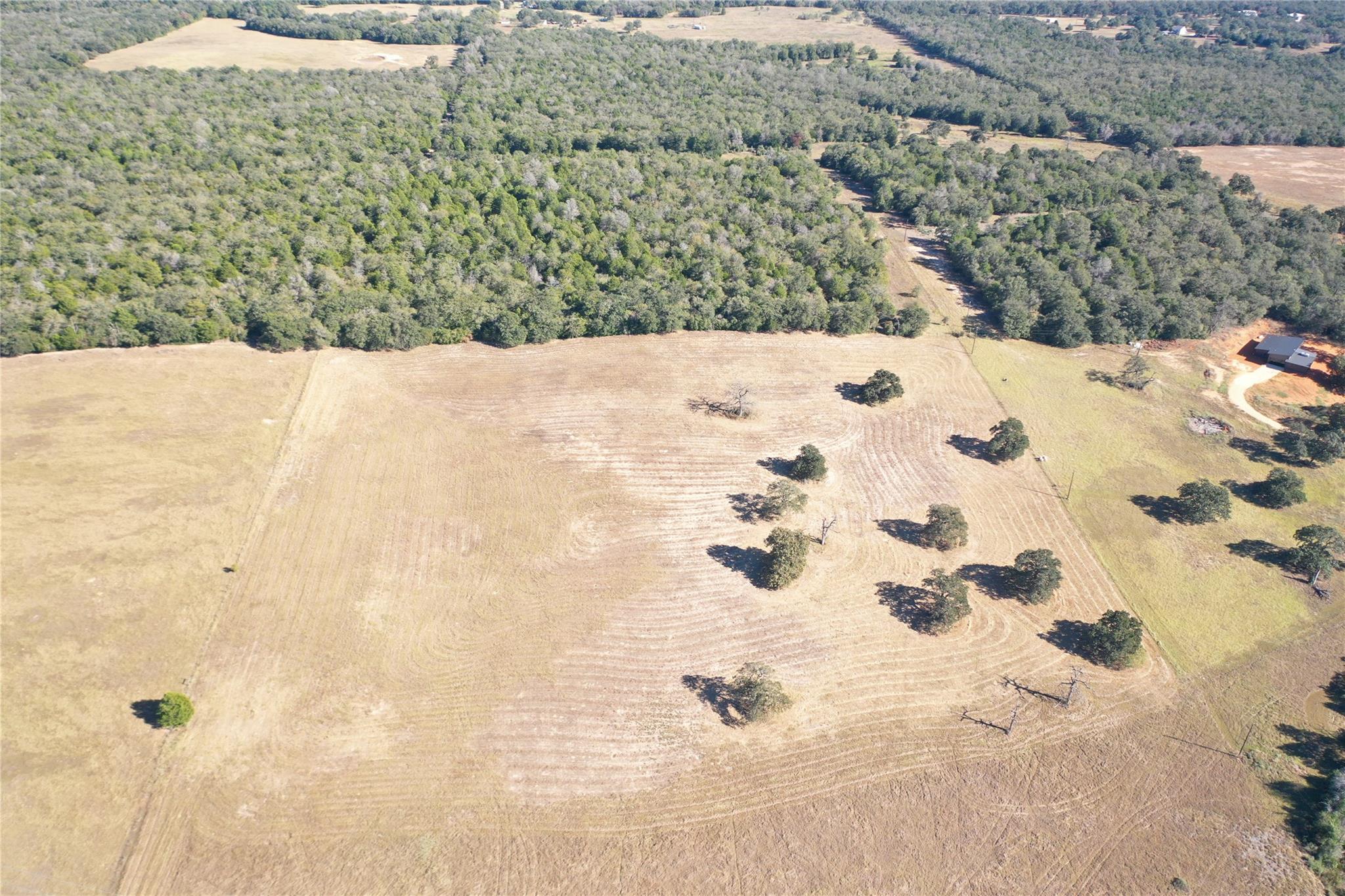 2055 CR 481 Tract 1, Thrall, TX 76578