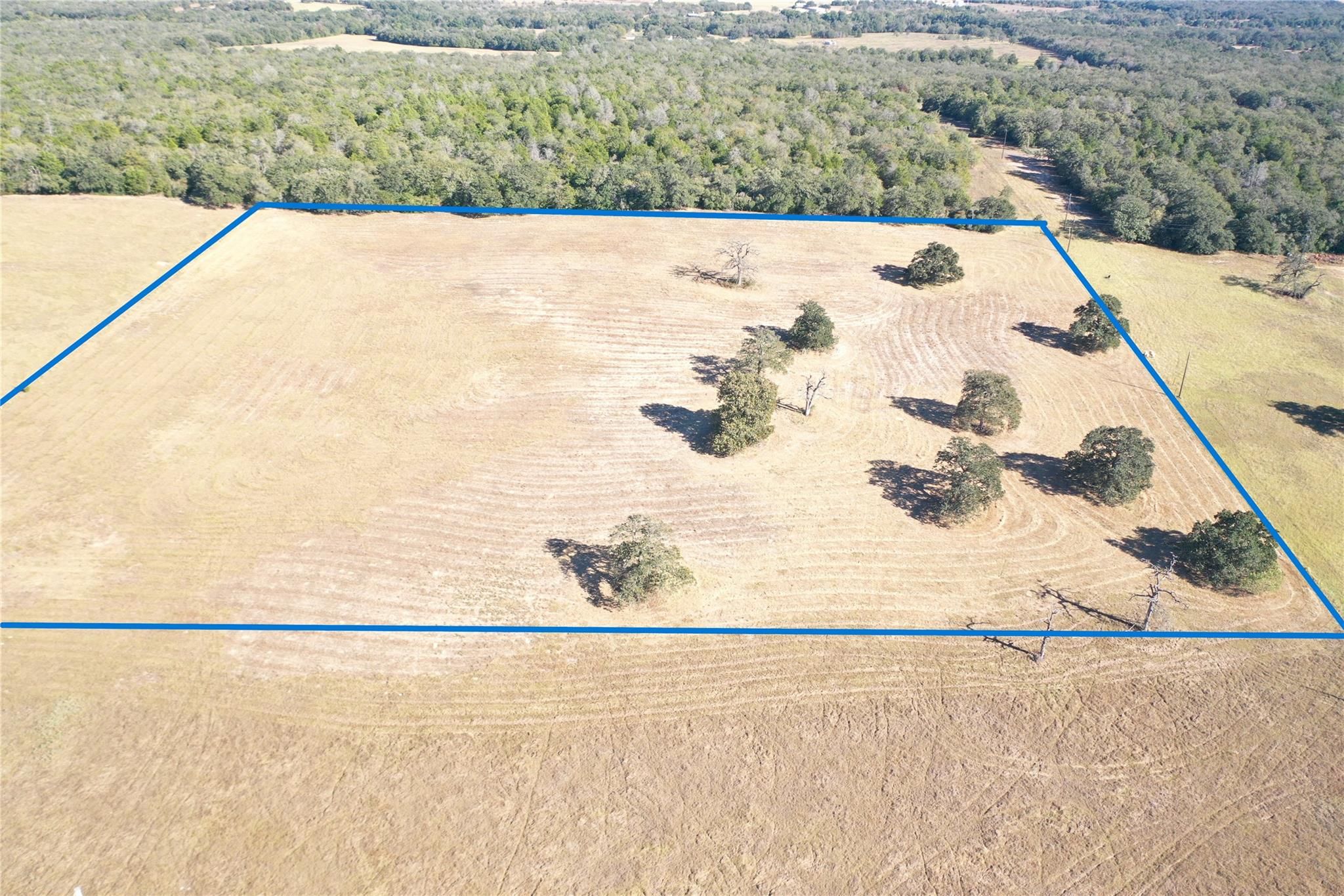 2055 CR 481 Tract 1, Thrall, TX 76578