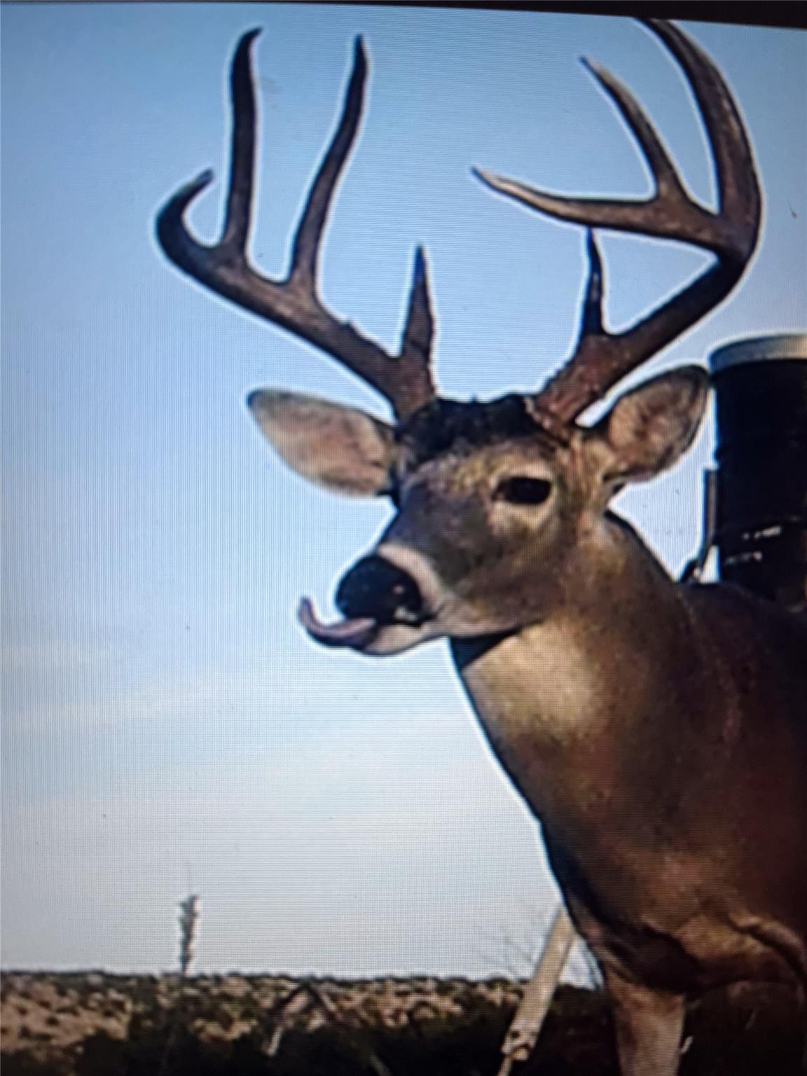 906 CR 235, Aspermont, TX 79502