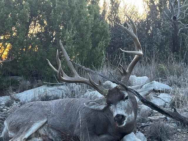 906 CR 235, Aspermont, TX 79502