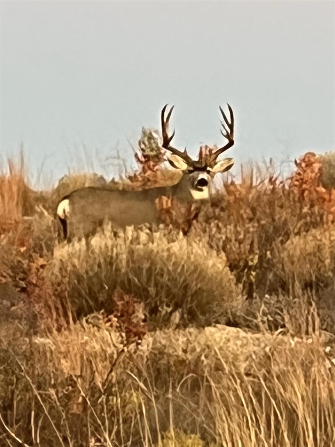 906 CR 235, Aspermont, TX 79502